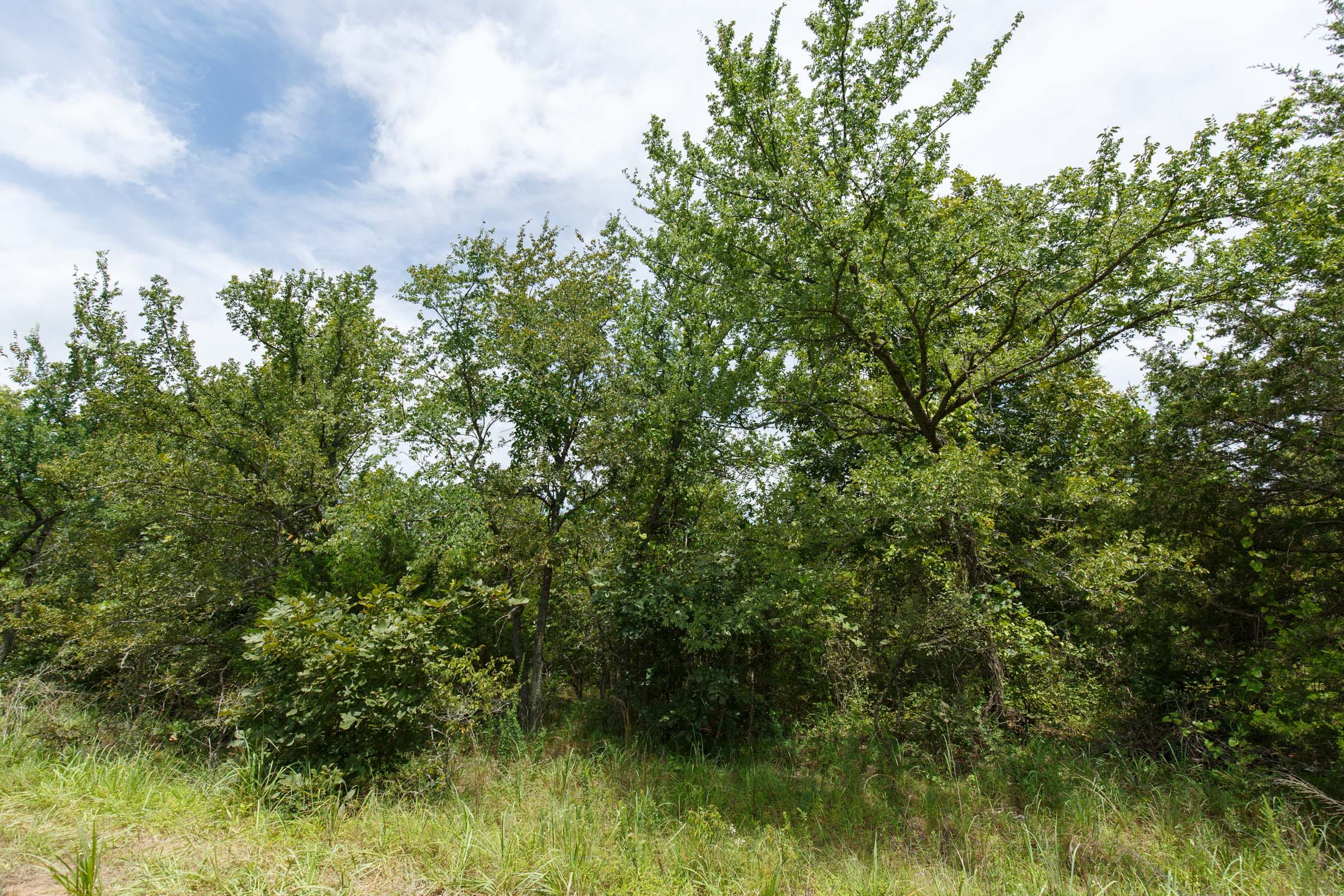 Timber Ridge Tract 34 photo 2