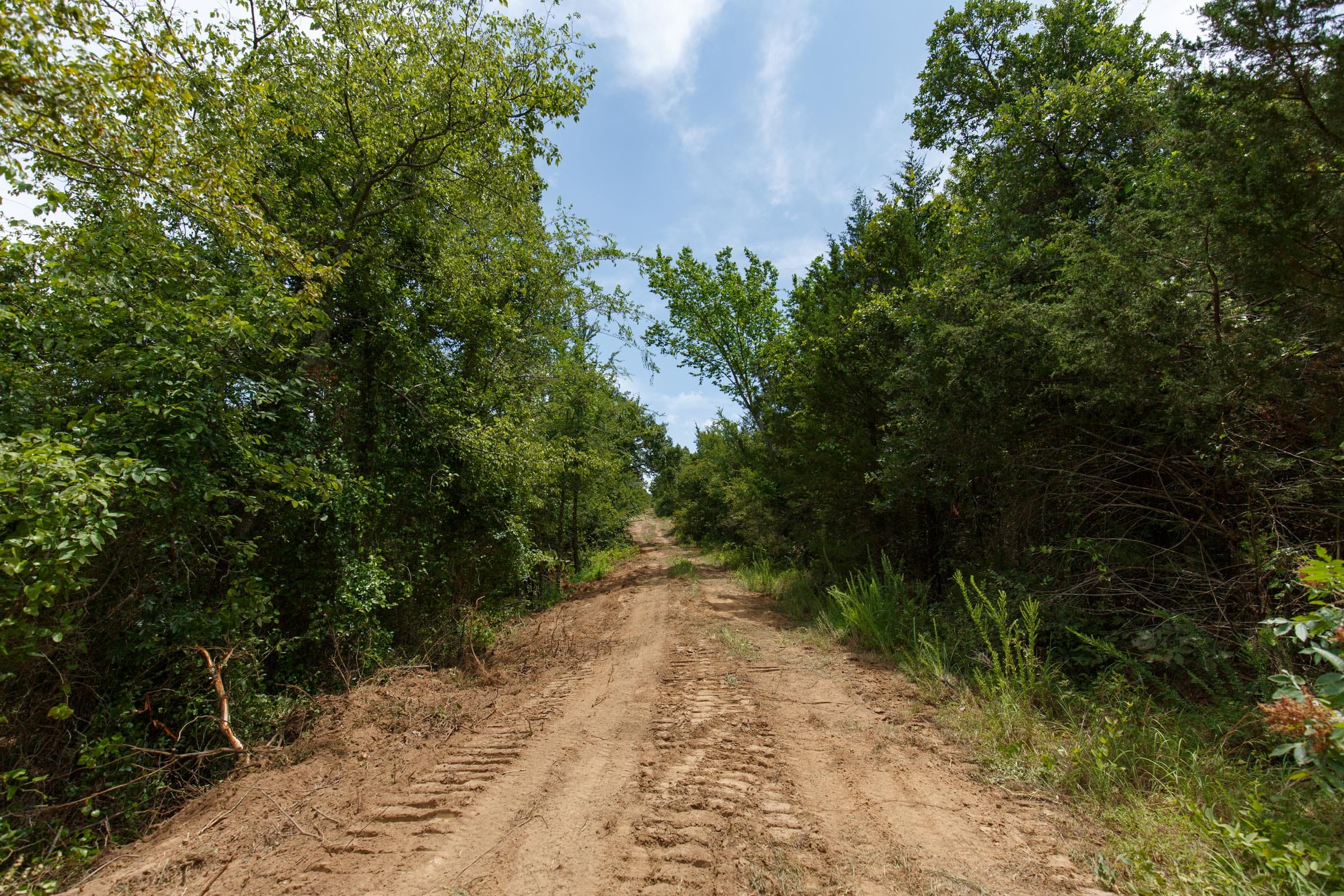 Timber Ridge Tract 34 photo 1