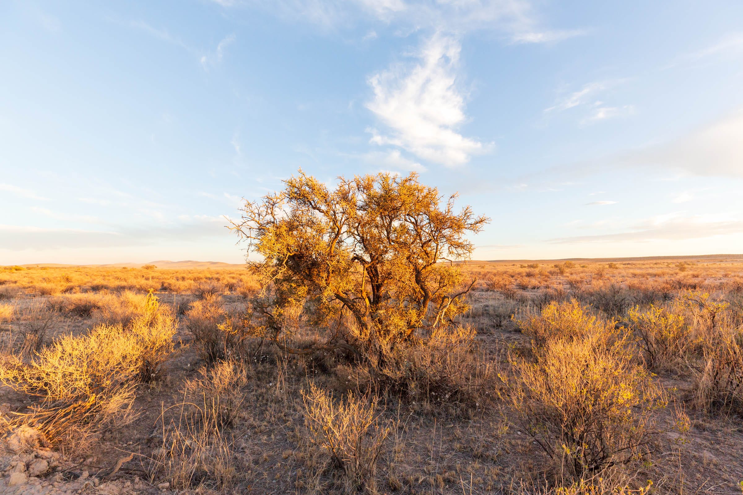 Sunrise Ranches Phase IV Tract 149 photo 5