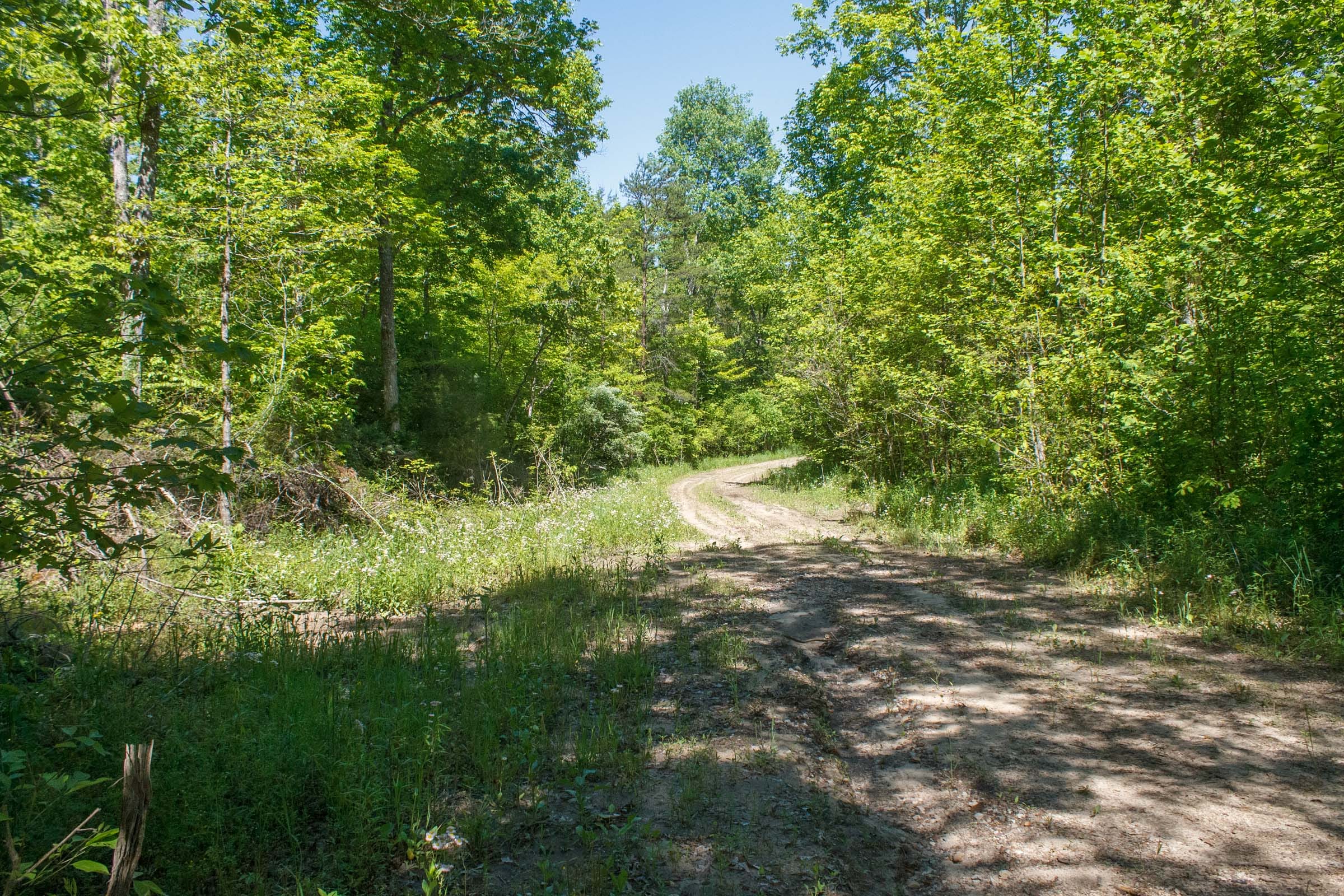 Riverbend Tract 12 photo 1