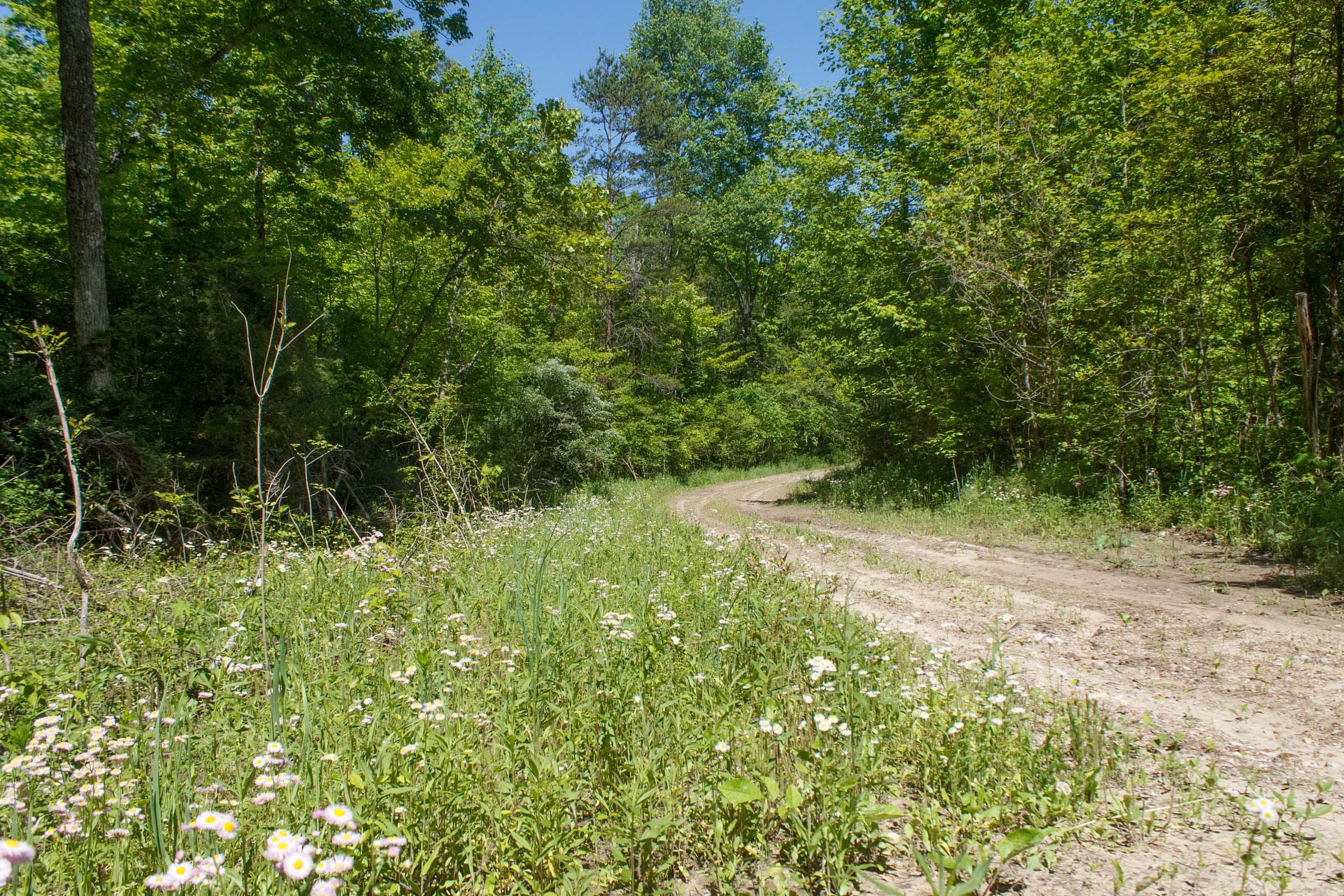 Riverbend Tract 12 photo 3