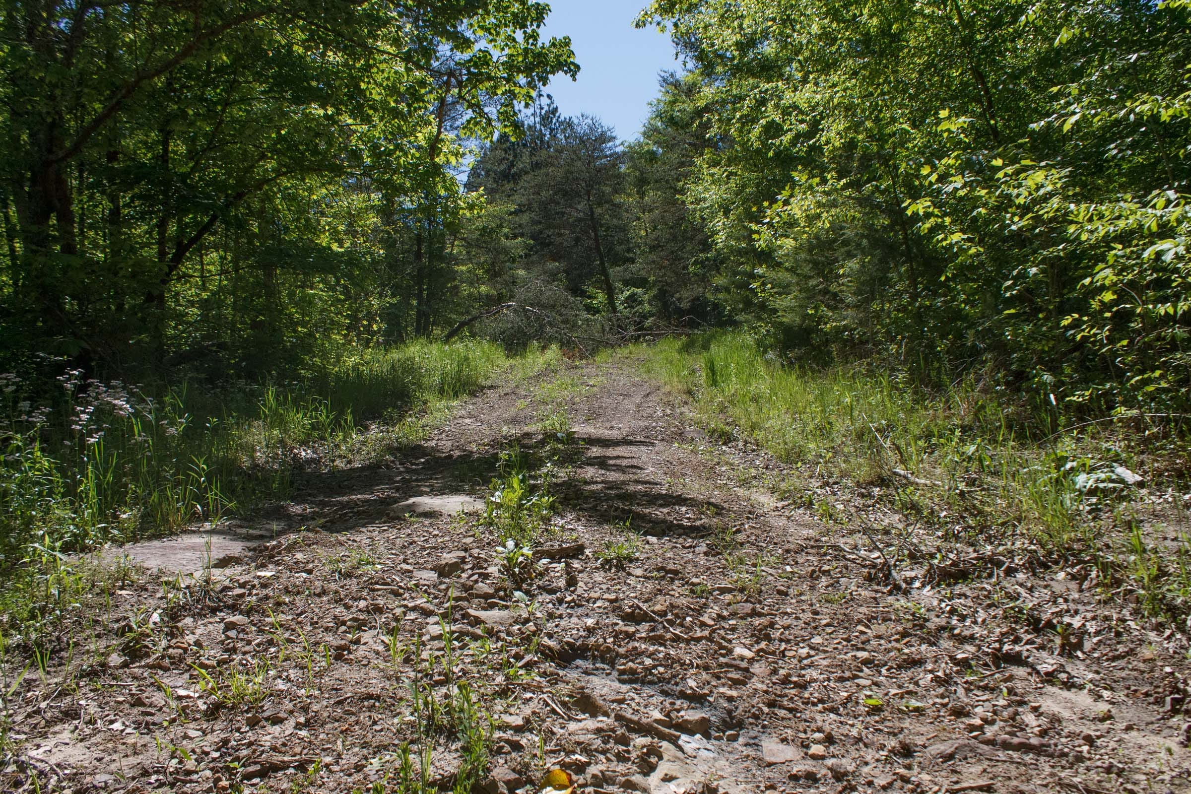 Riverbend Tract 12 photo 6