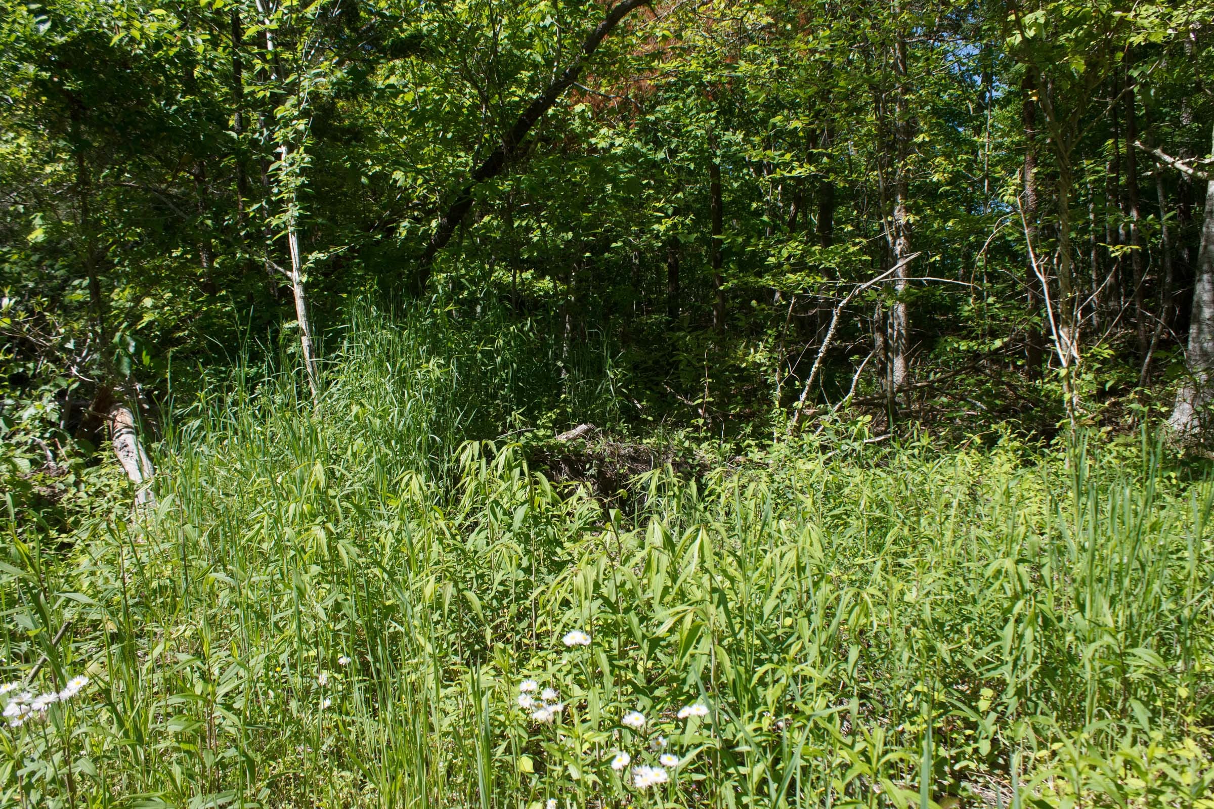 Riverbend Tract 12 photo 10