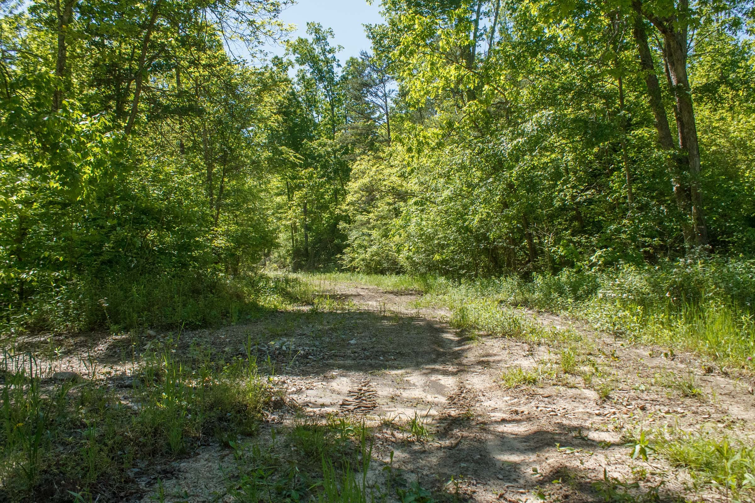 Riverbend Tract 12 photo 11