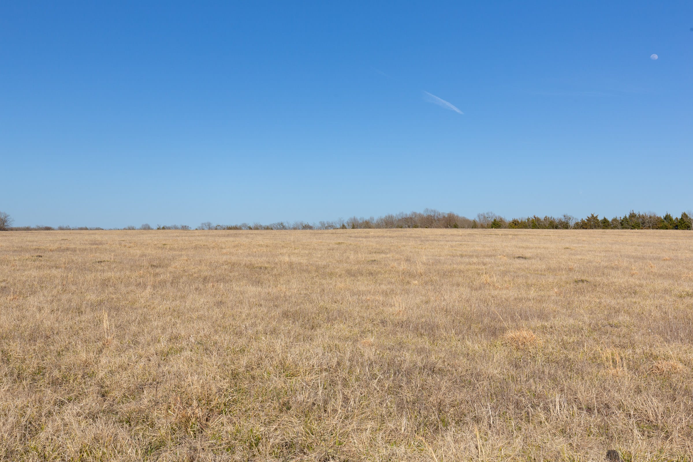 Wishing Star Ranch Tract 79 photo 3