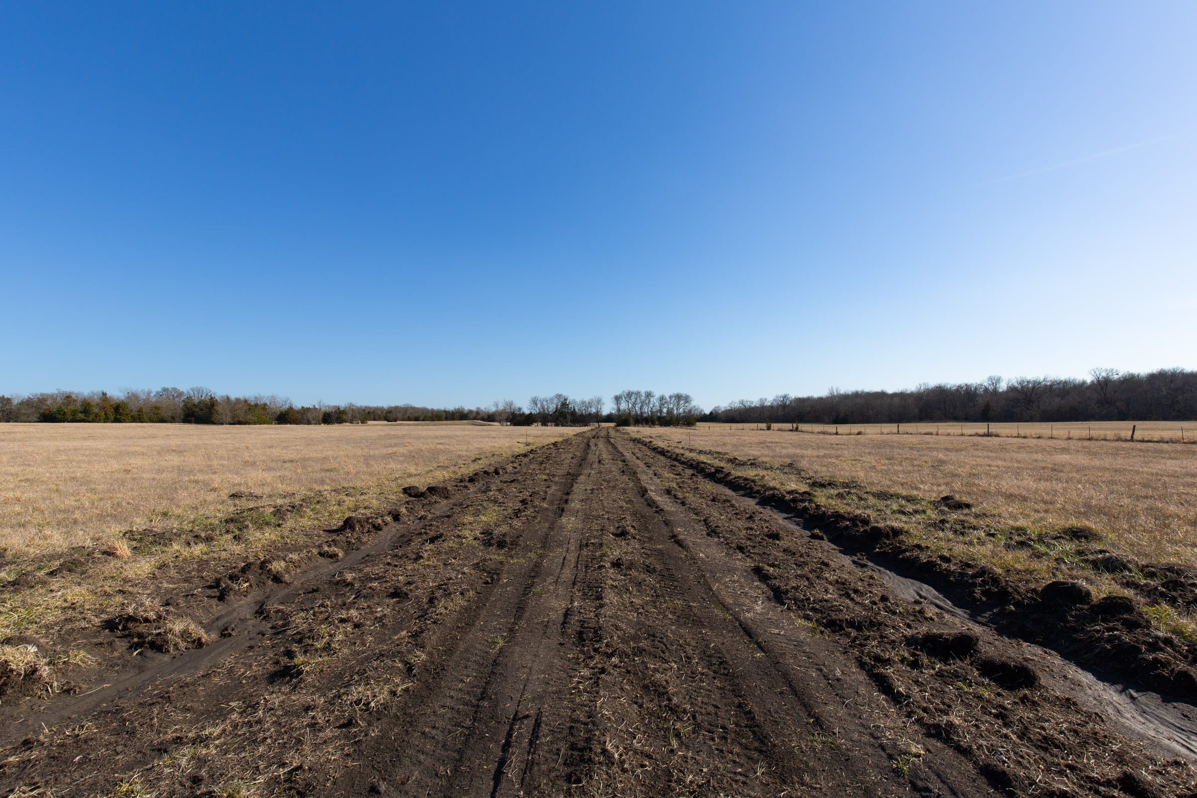 Wishing Star Ranch Tract 79 photo 6