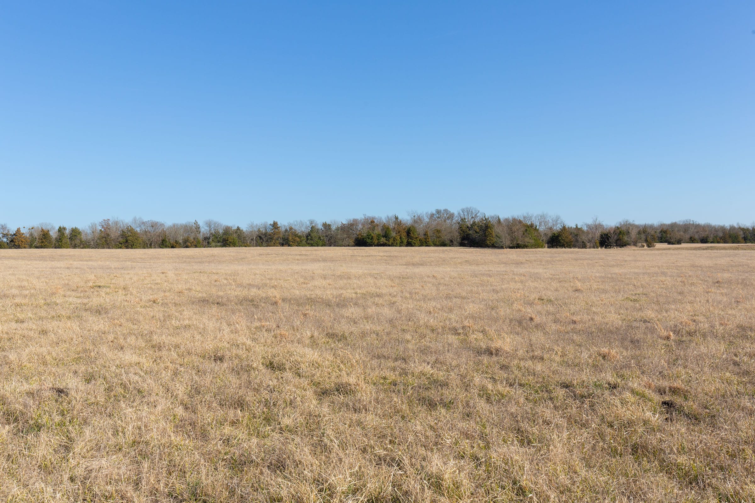 Wishing Star Ranch Tract 79 photo 5