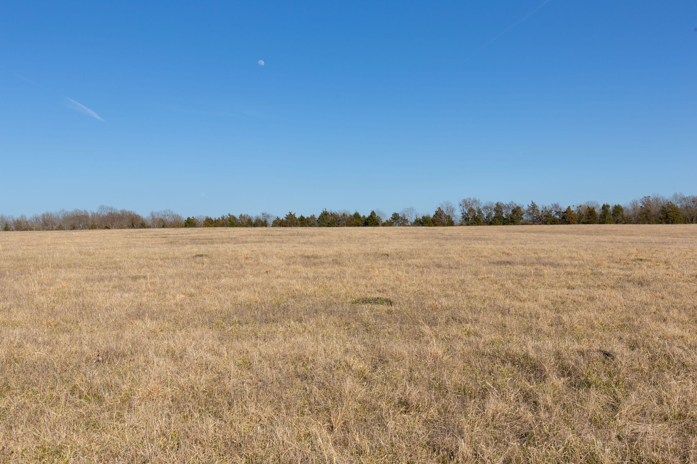 Wishing Star Ranch Tract 79 photo 7