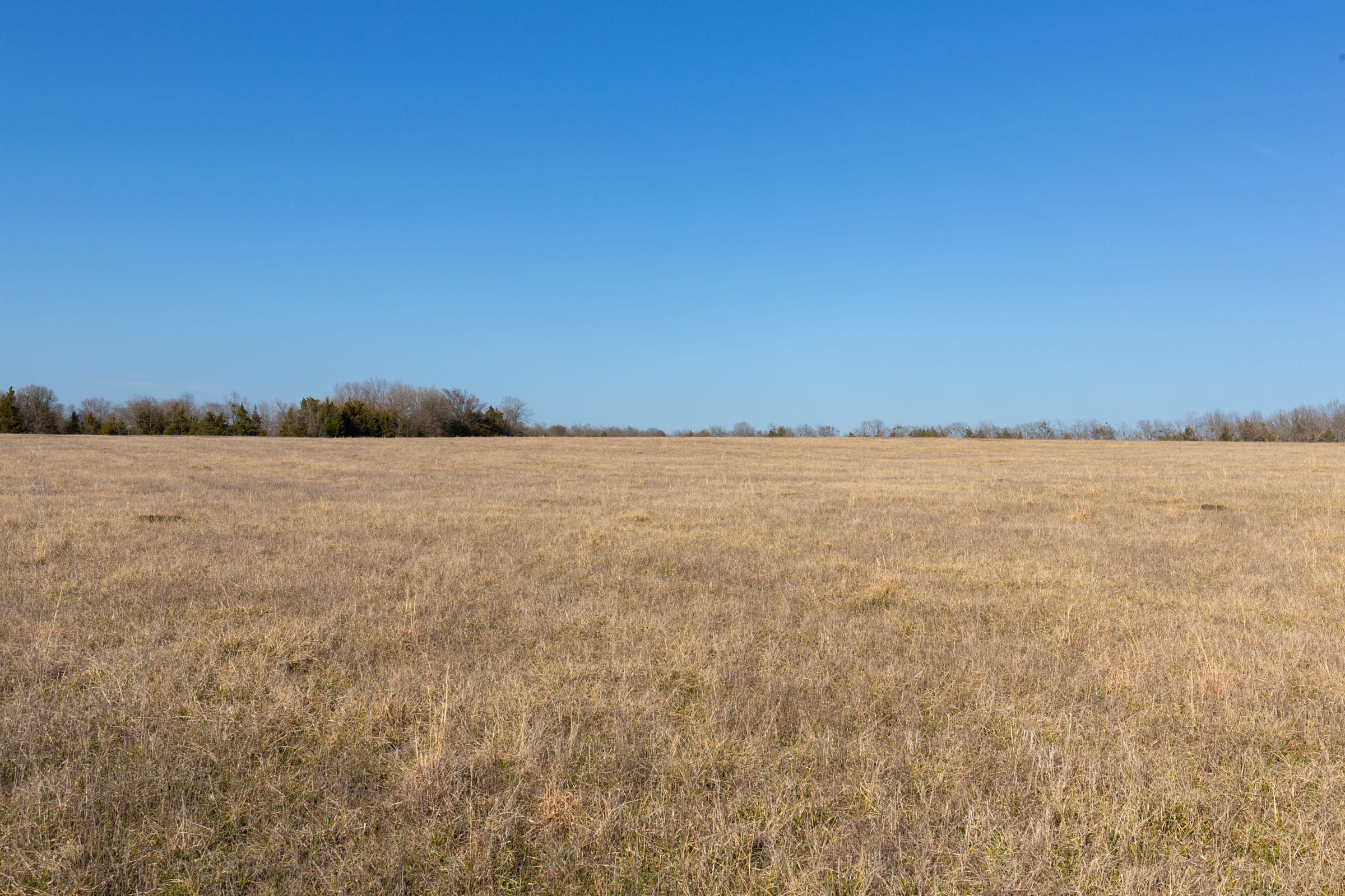 Wishing Star Ranch Tract 79 photo 8