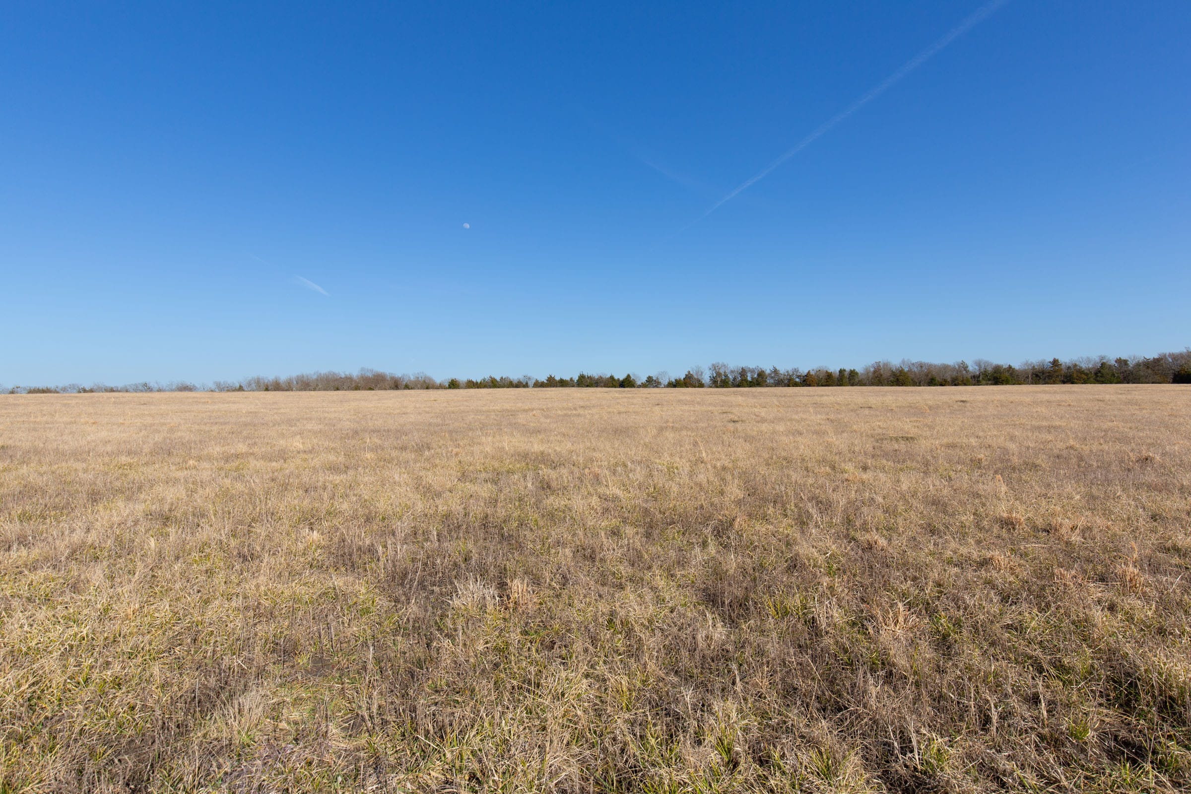 Wishing Star Ranch Tract 79 photo 9