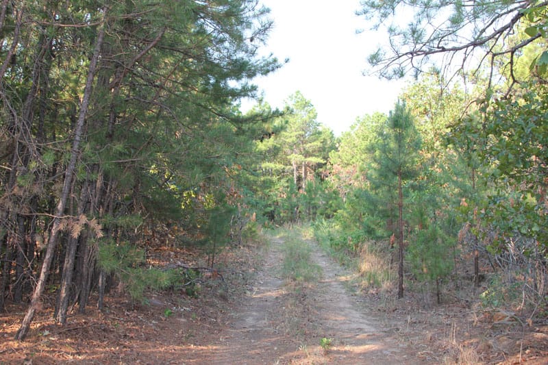 Trophy Ridge Phase I Tract 45 photo 1
