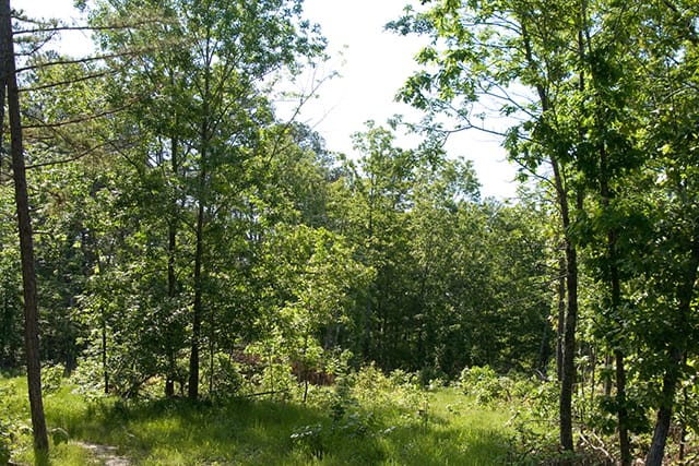 Blue Sky Ranch Tract 5 photo 2