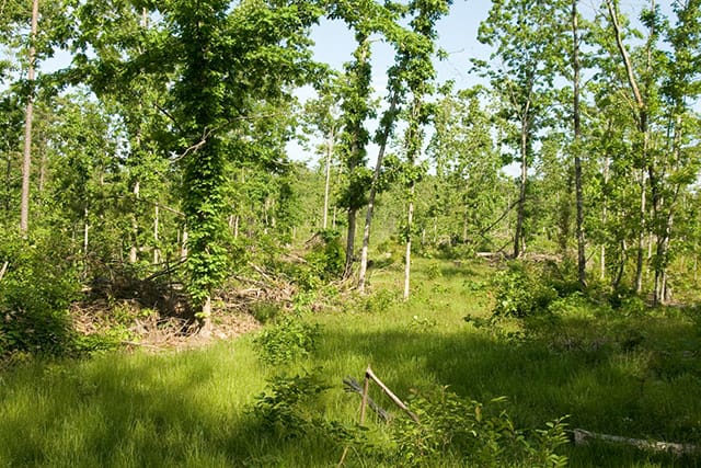 Blue Sky Ranch Tract 5 photo 3
