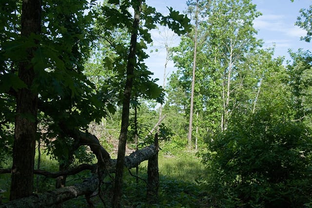 Blue Sky Ranch Tract 5 photo 8