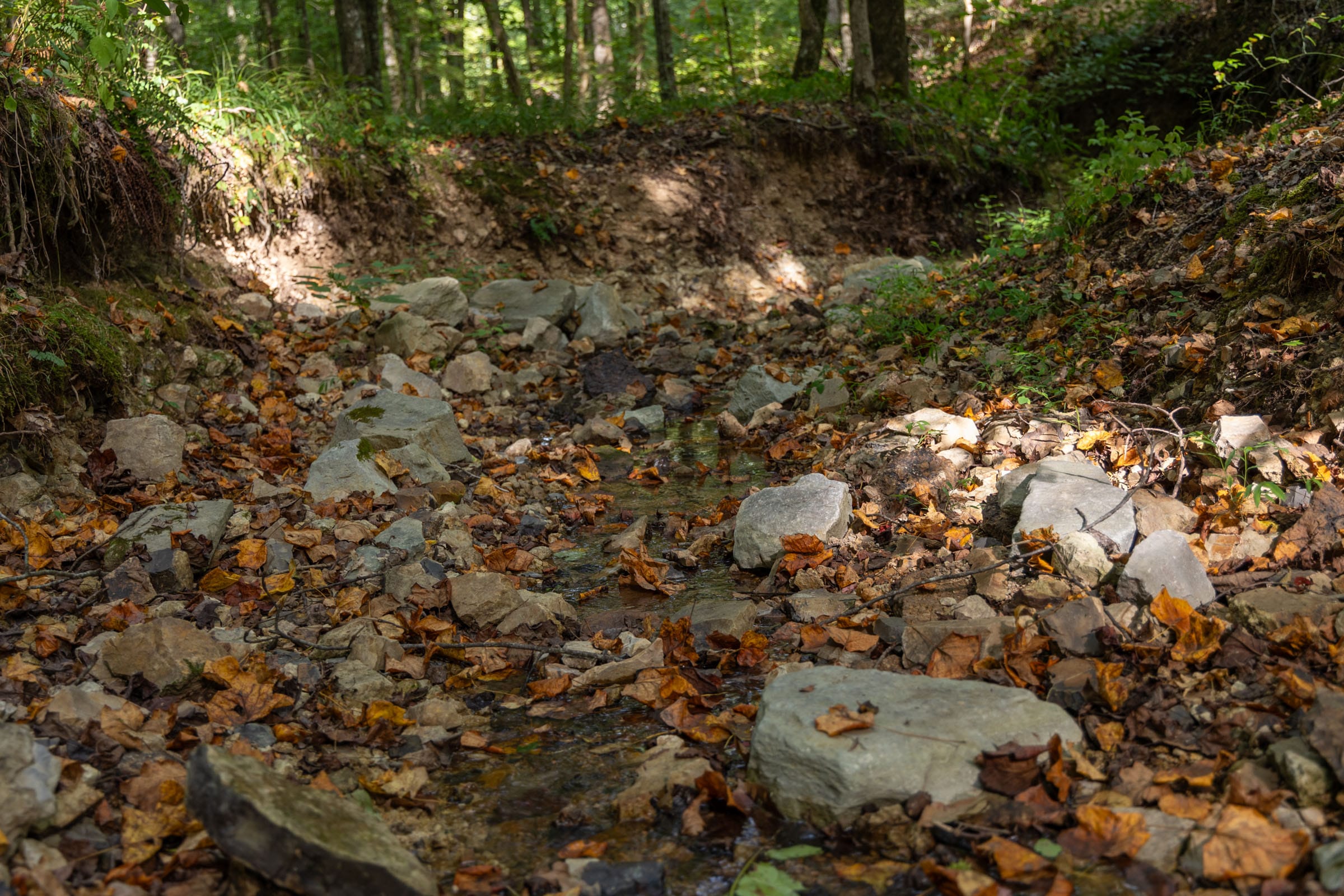 Big White Oak Tract 117 photo 5