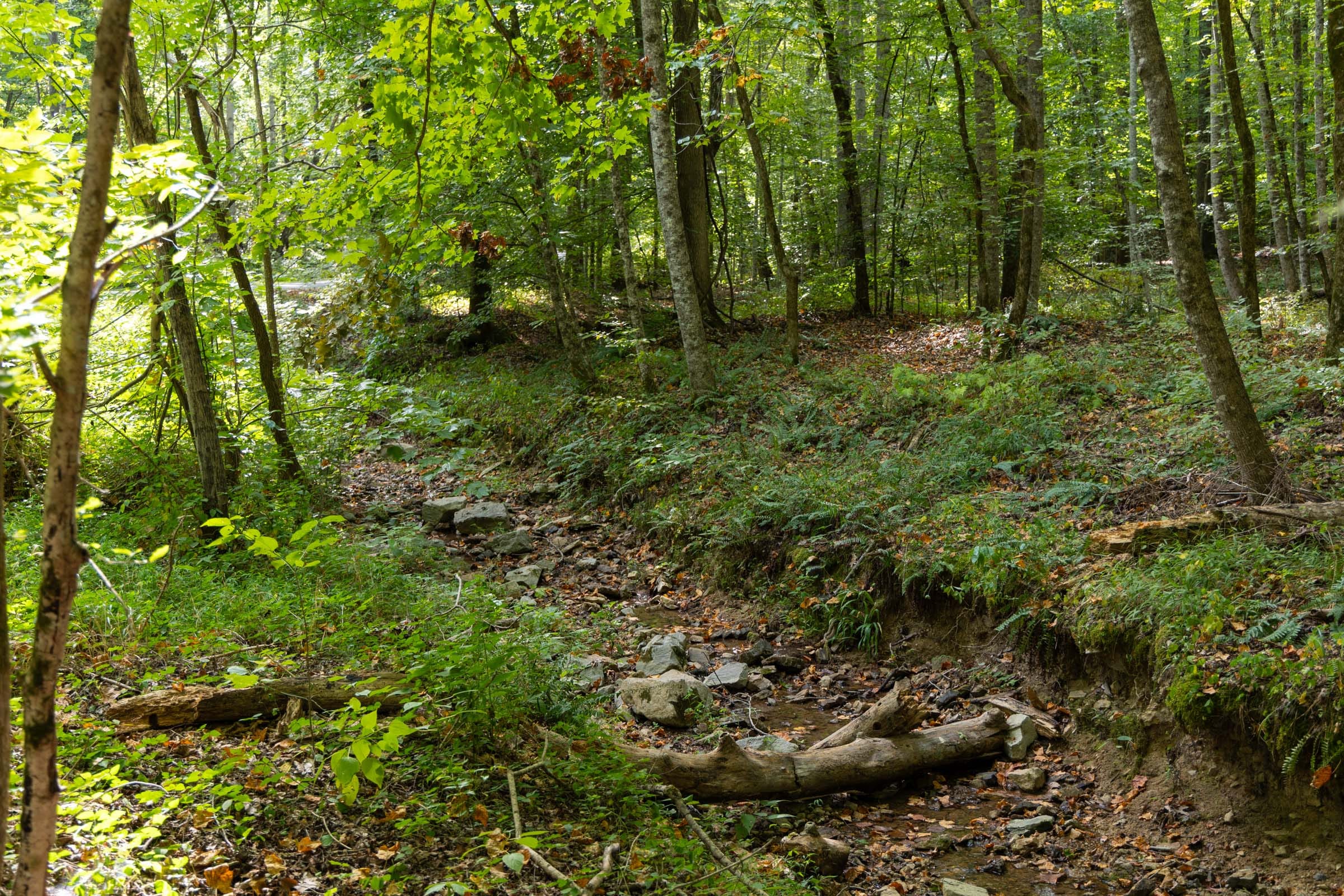Big White Oak Tract 149 photo 13