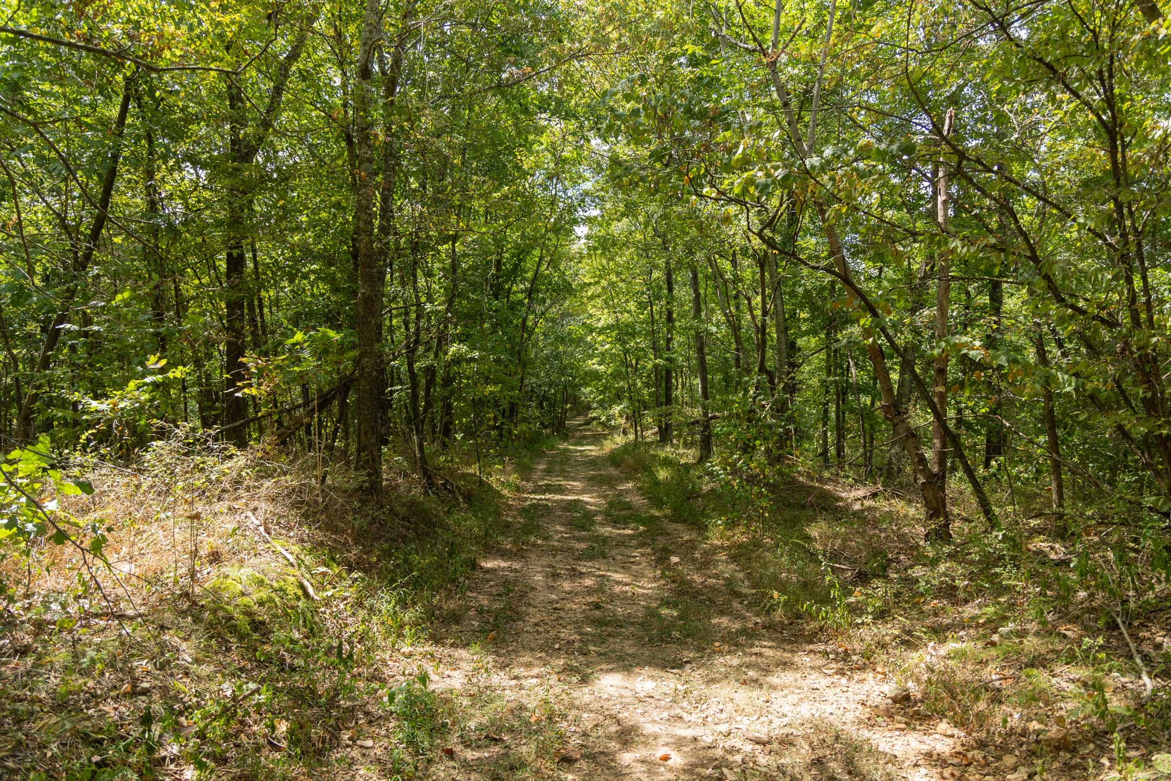 Big White Oak Tract 117 photo 14