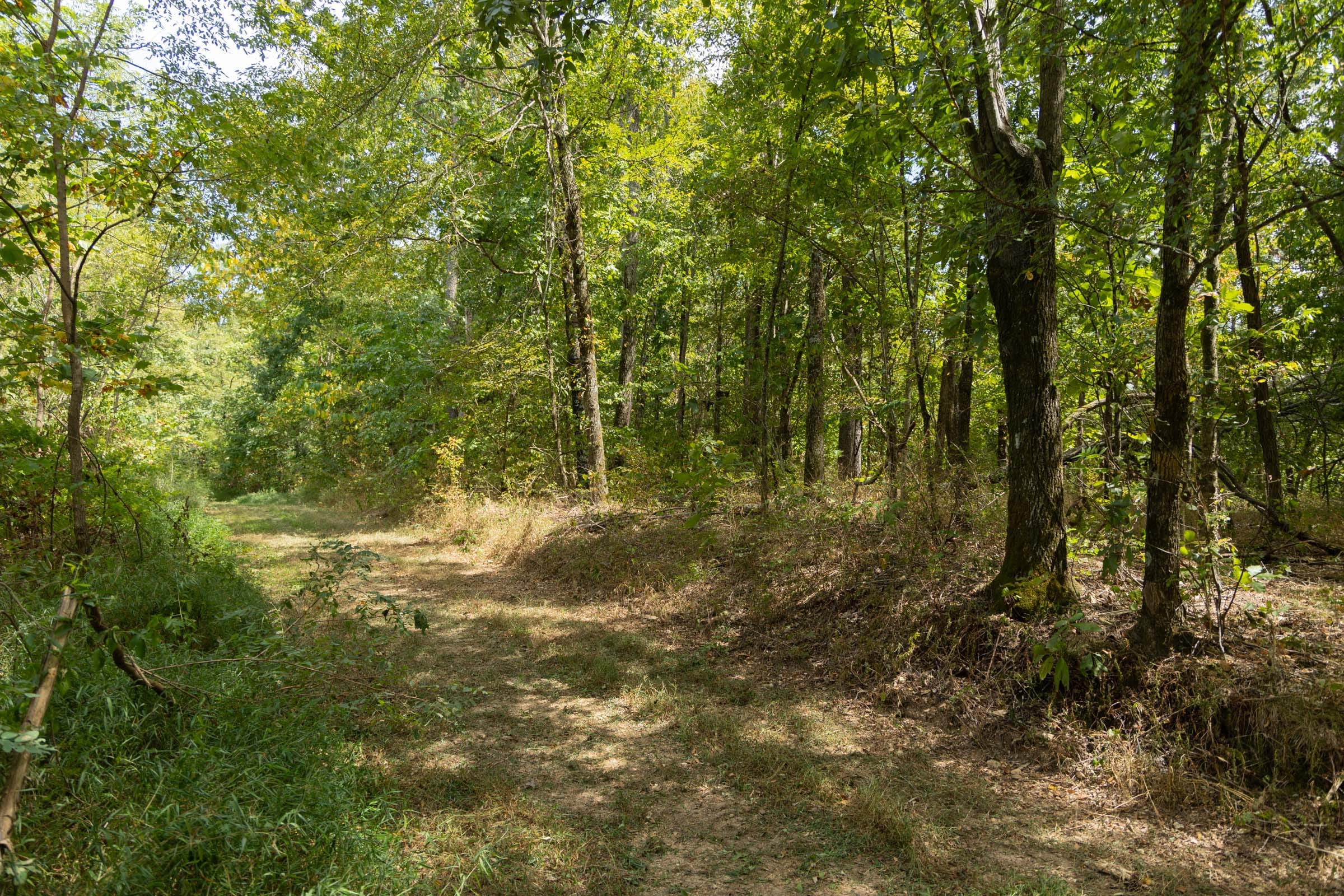 Big White Oak Tract 117 photo 3