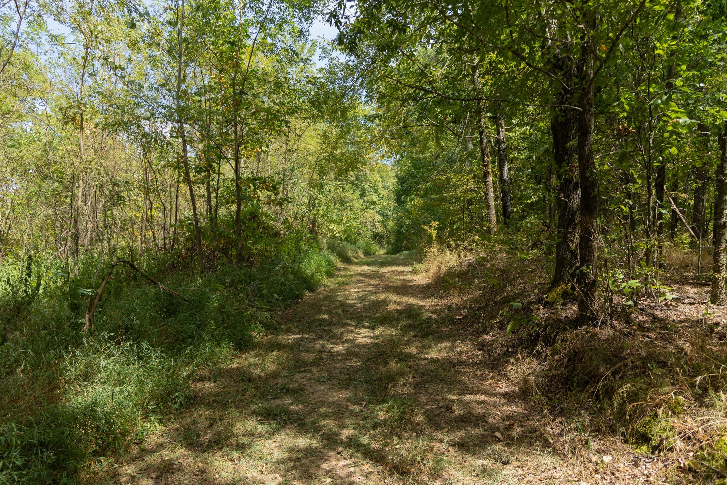 Big White Oak Tract 117 photo 2