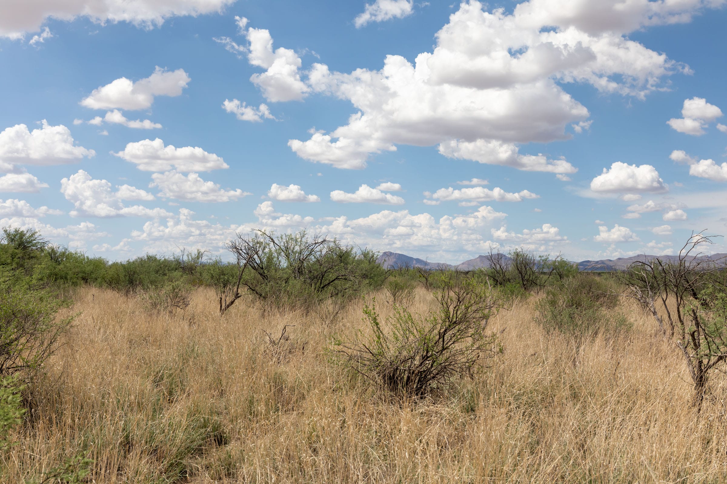 Horizon’s Edge Tract 8 photo 1