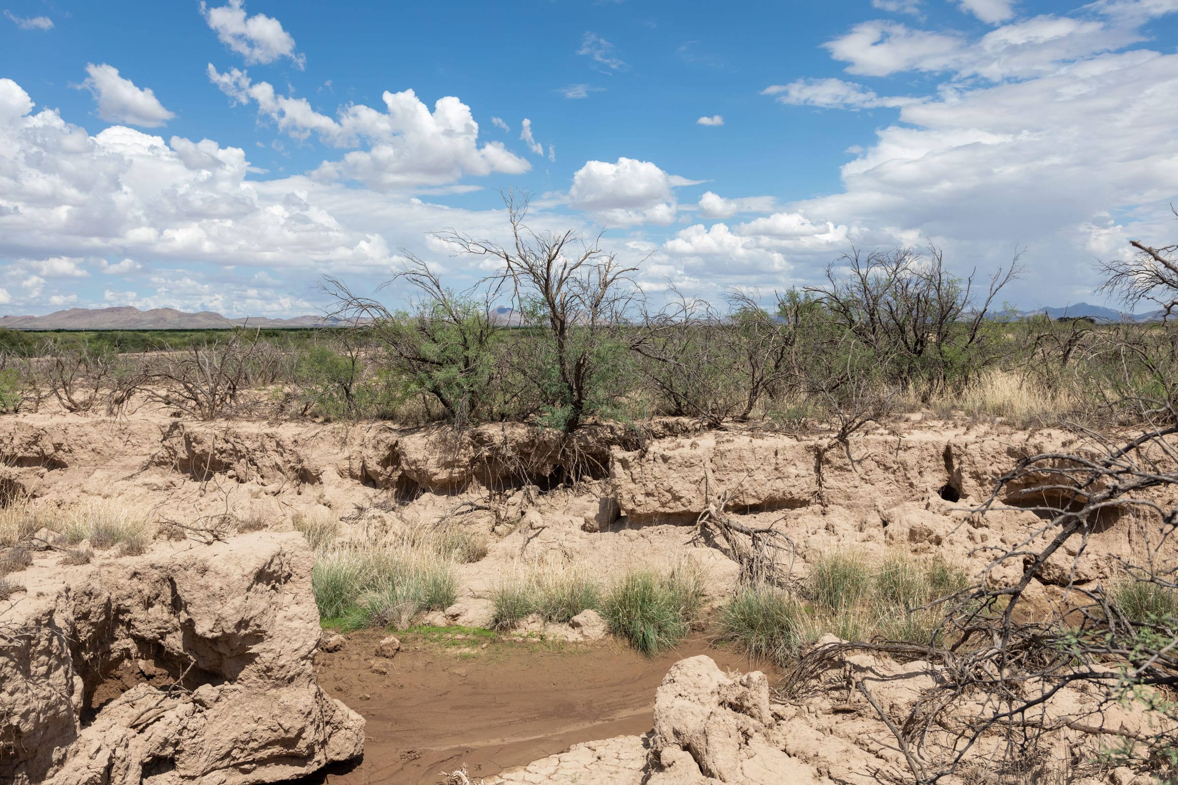 Horizon’s Edge Tract 8 photo 2