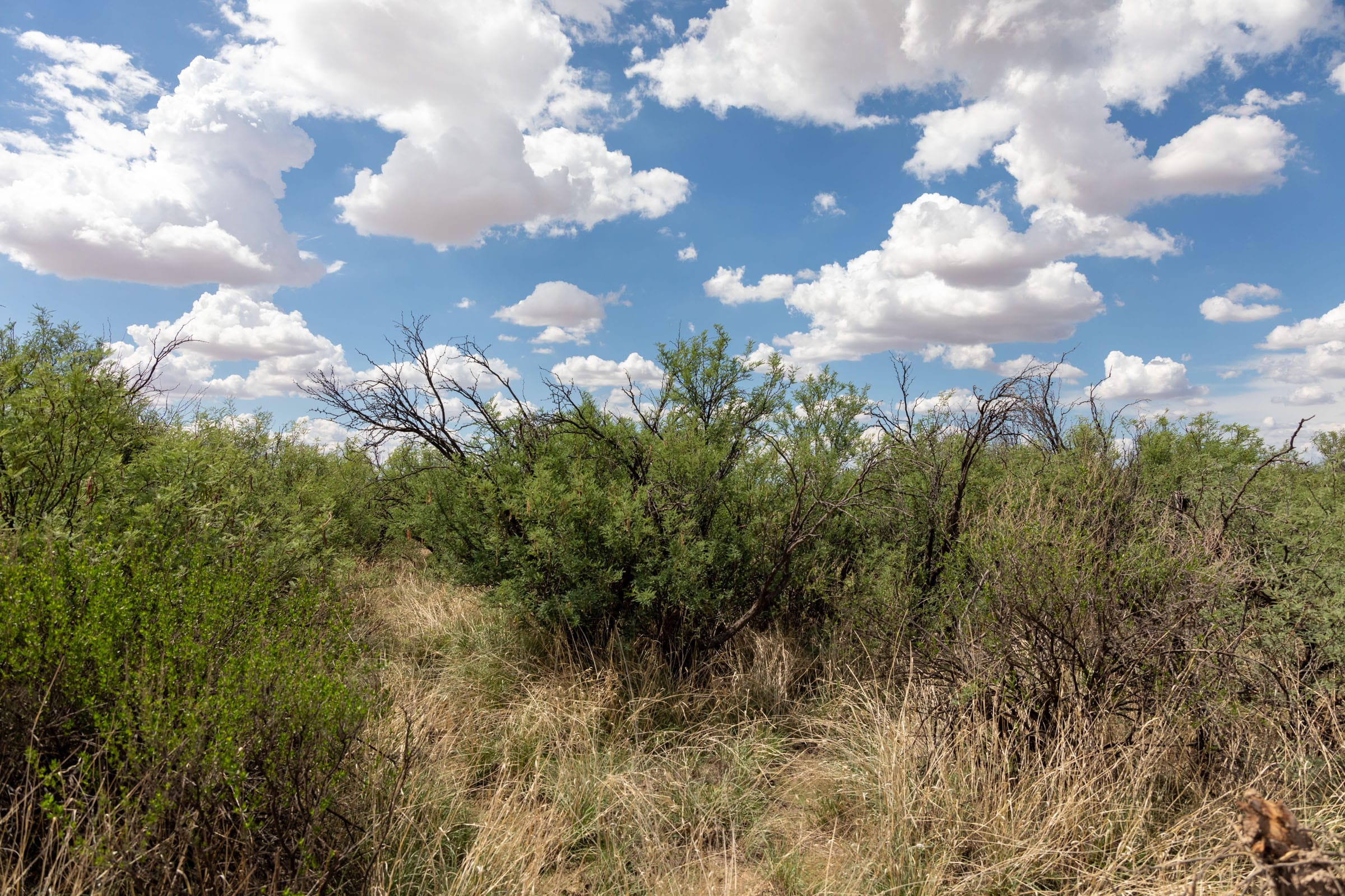 Horizon’s Edge Tract 8 photo 4