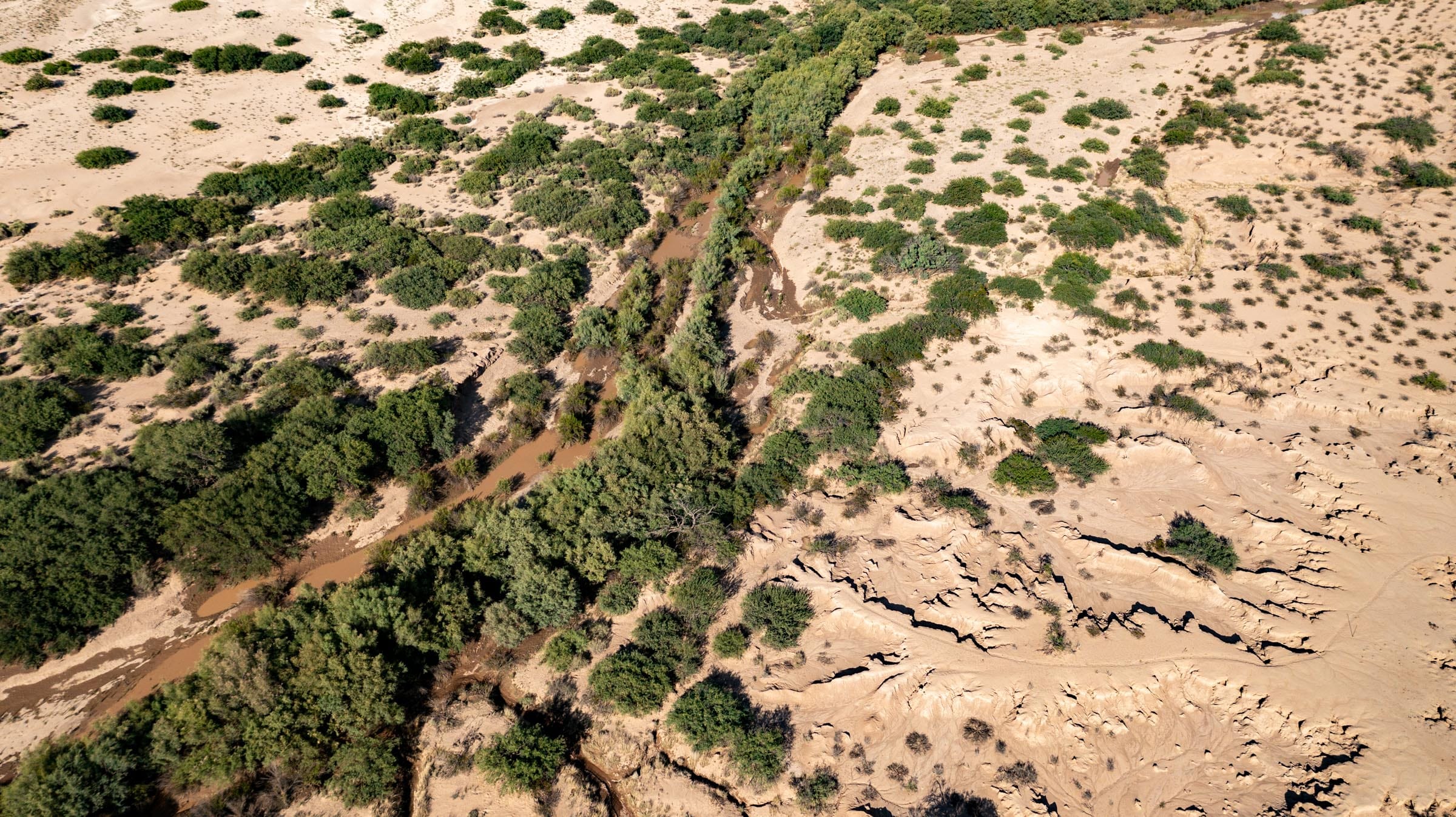 Horizon’s Edge Tract 8 photo 6