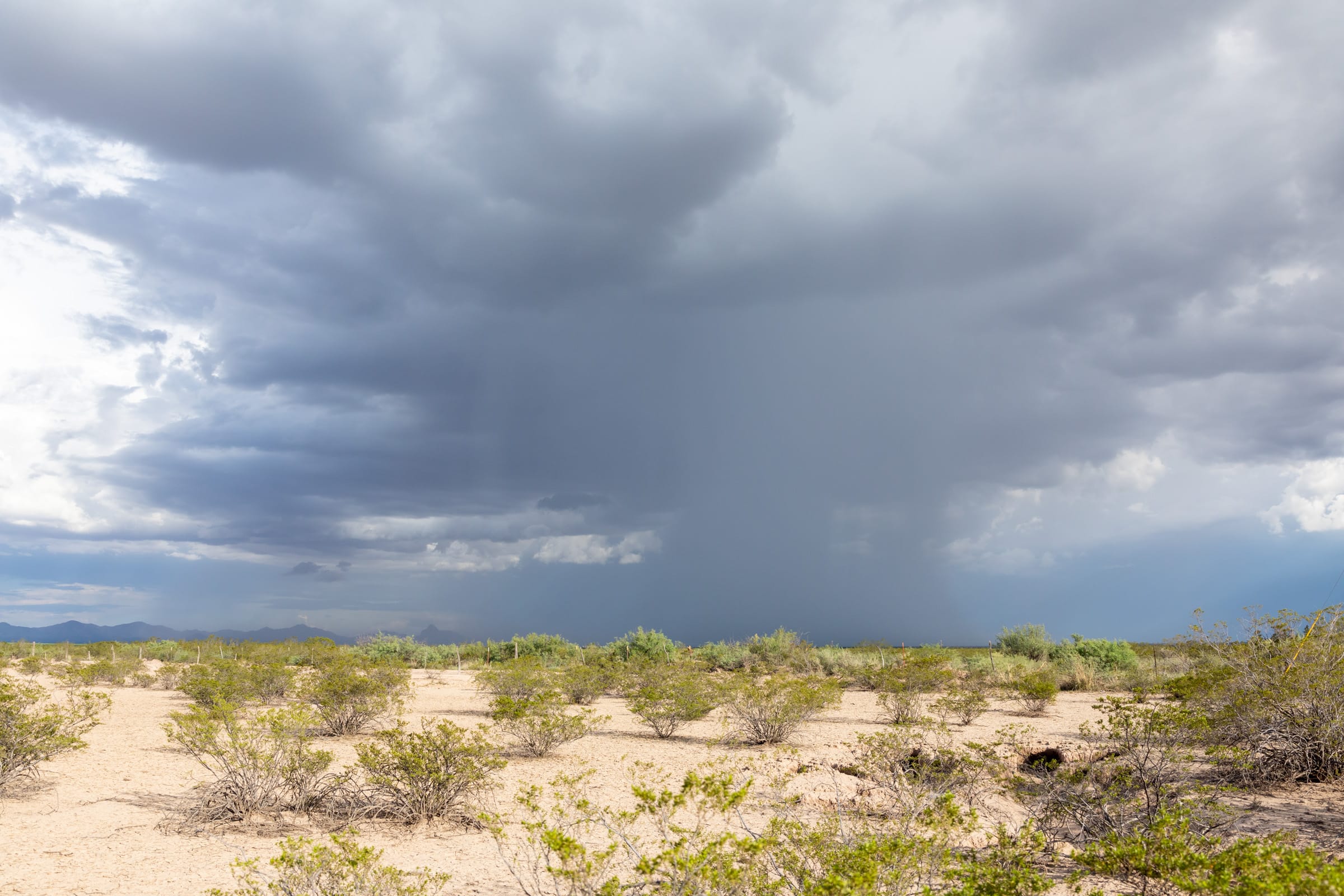 Horizon’s Edge Tract 8 photo 11