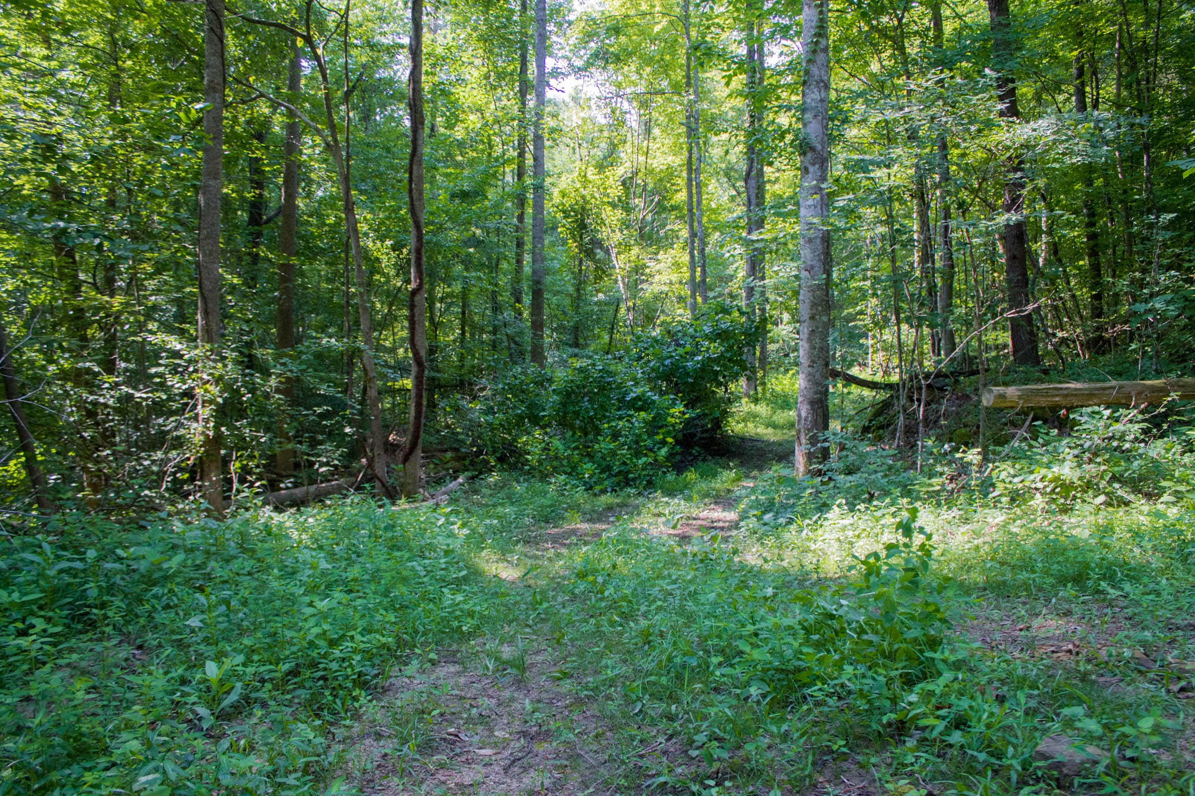 Bluewater Ridge Tract 19 photo 1