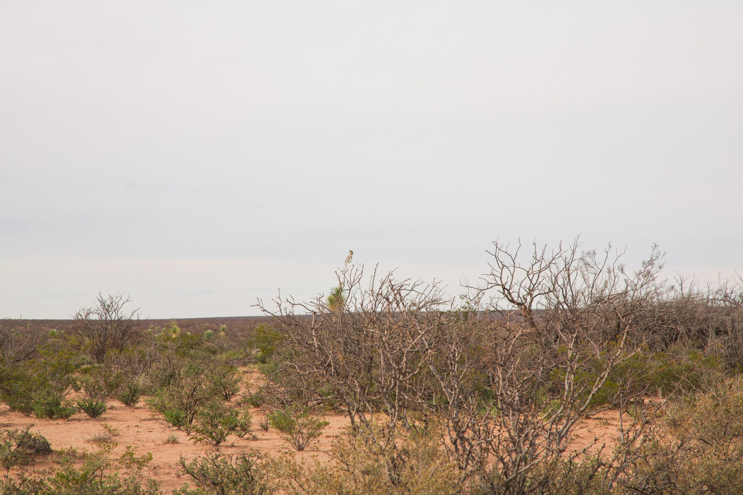 Sunset Ranches Tract 16 photo 1