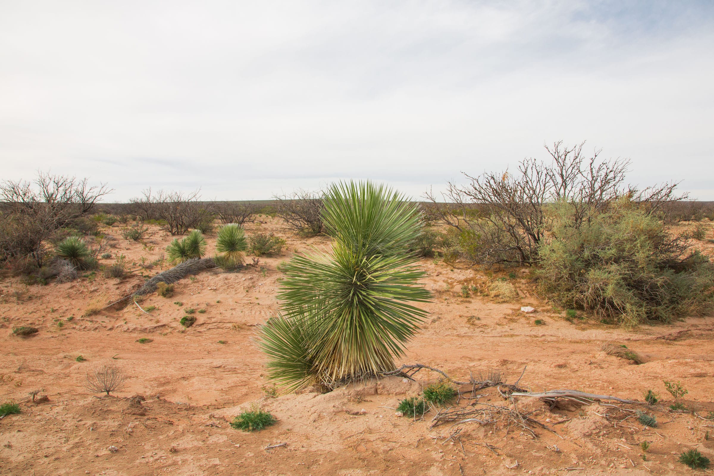 Sunset Ranches Tract 16 photo 2