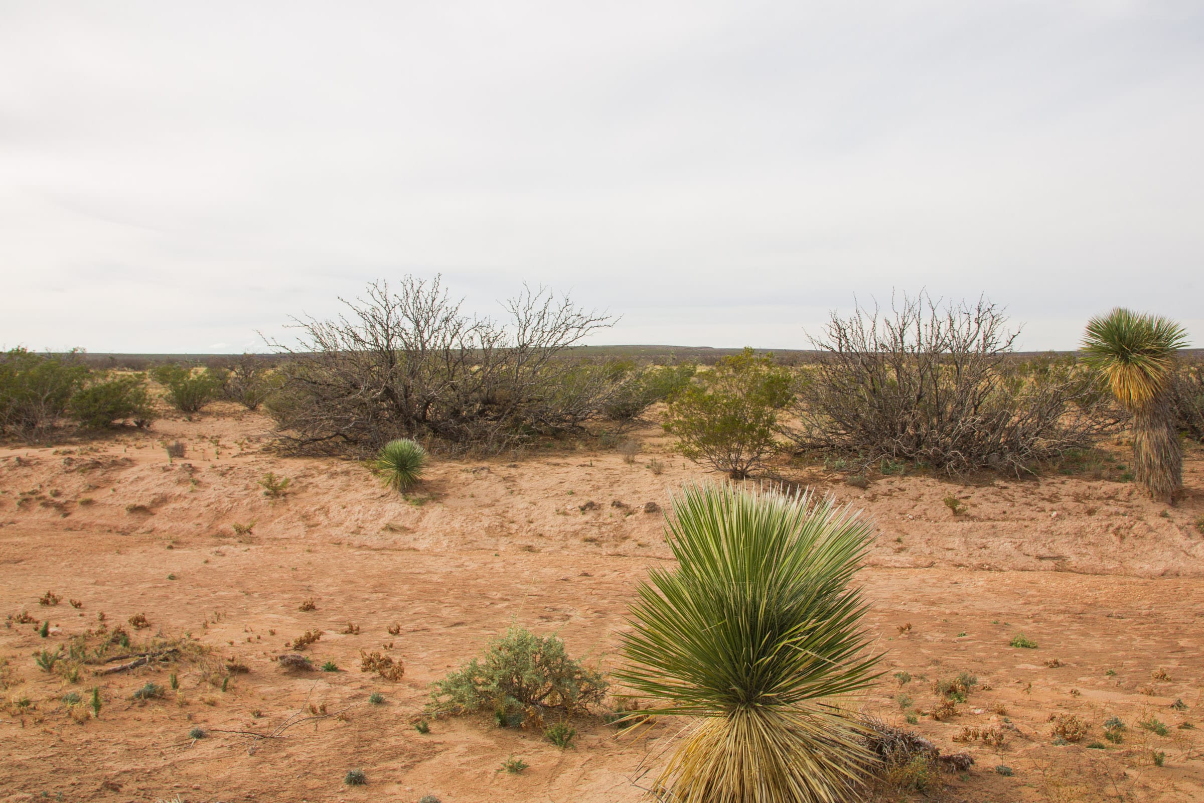 Sunset Ranches Tract 16 photo 3