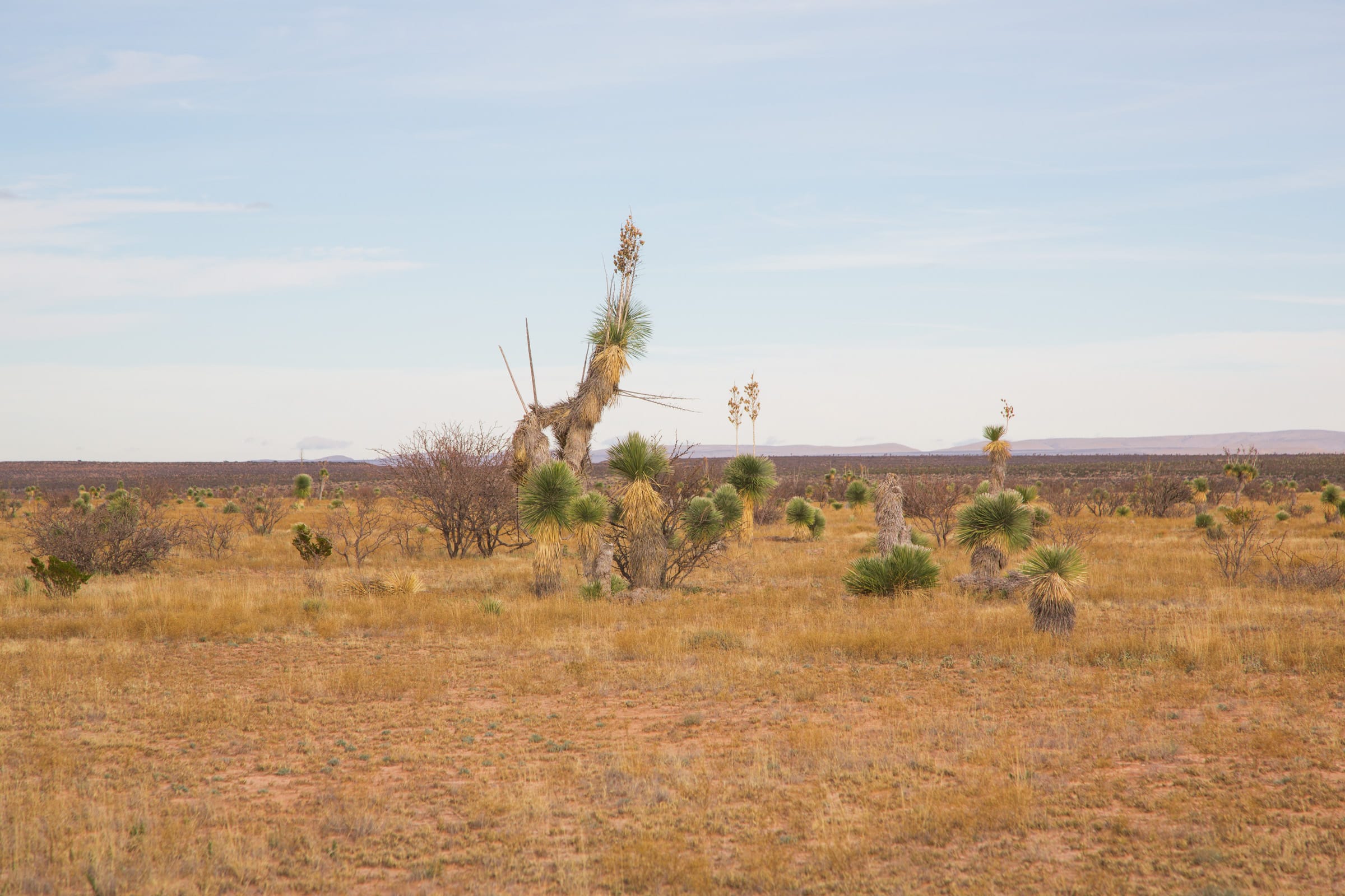 Sunset Ranches Tract 16 photo 6