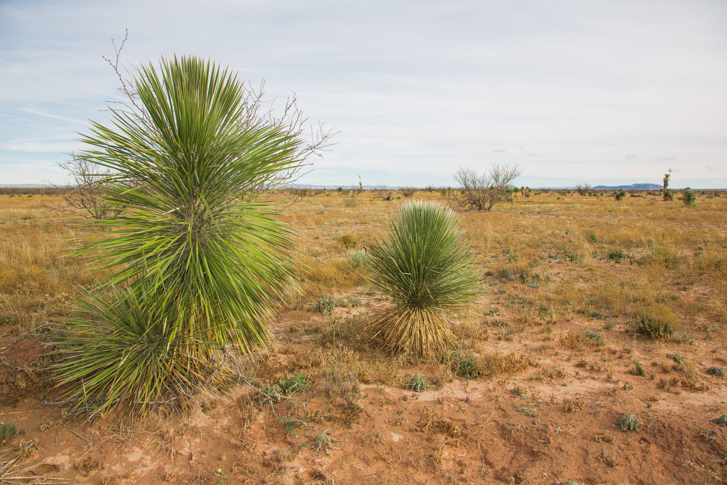 Sunset Ranches Tract 16 photo 10