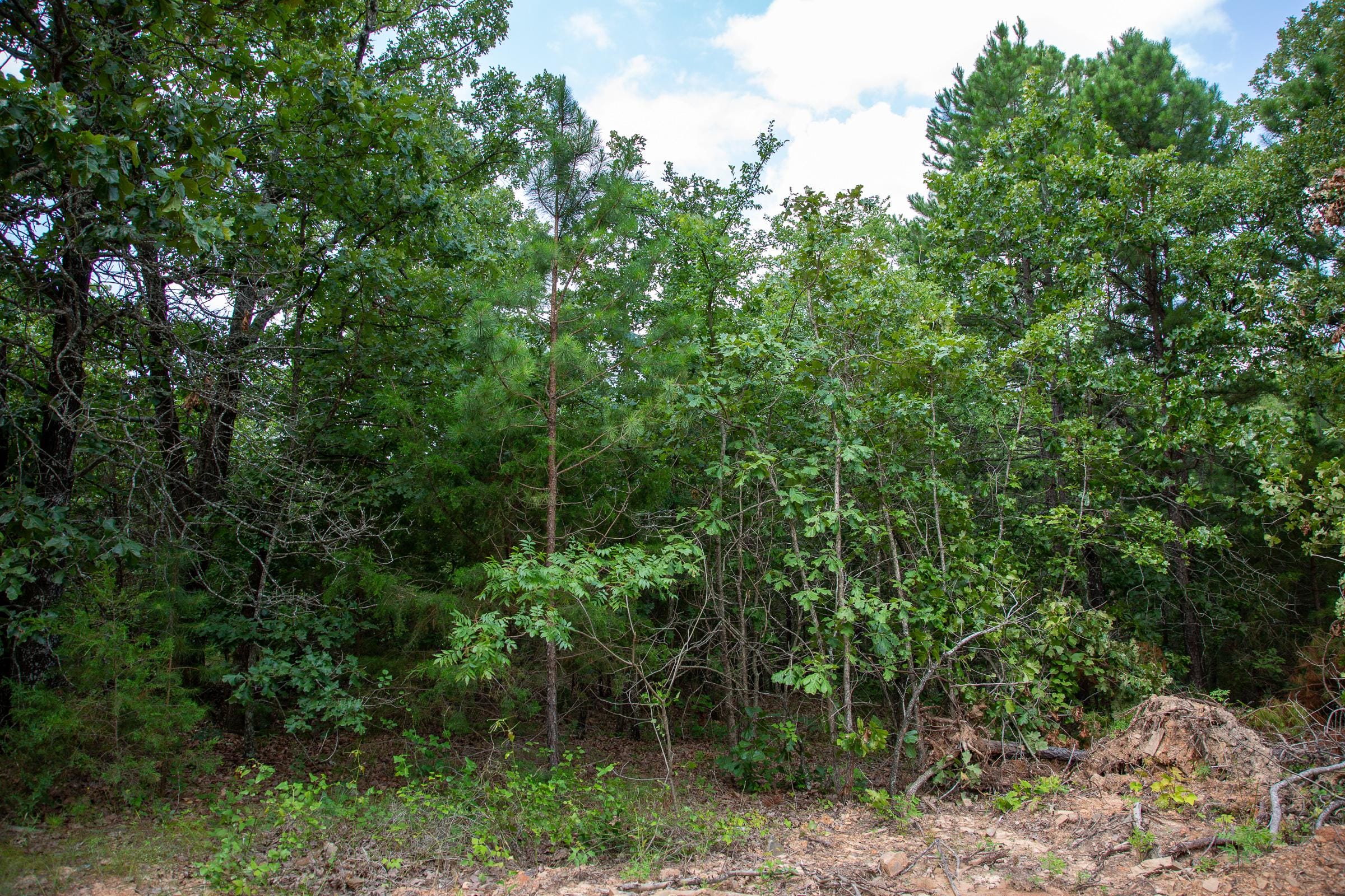 Tyler Stone Ranch Tract 59 photo 4