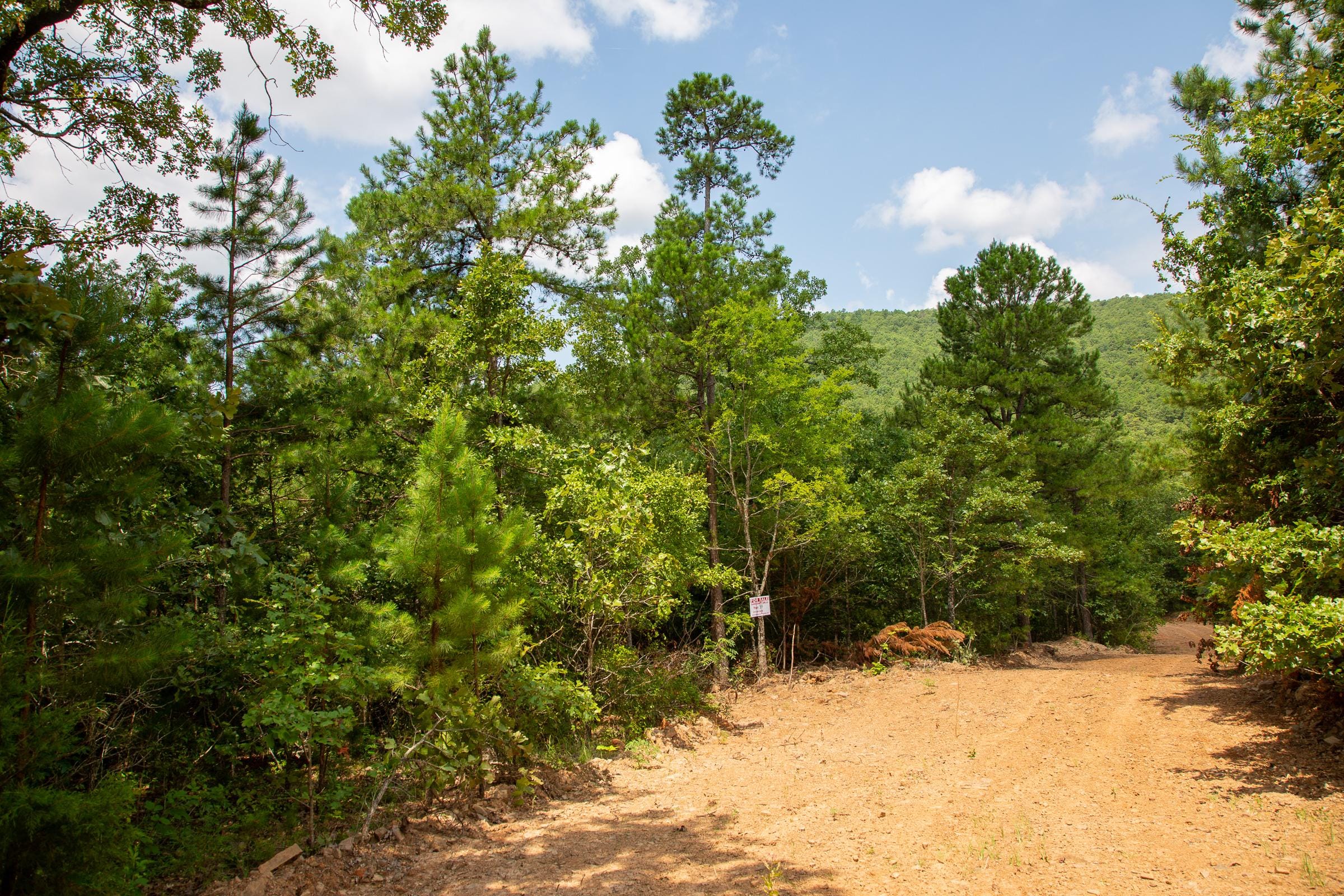 Tyler Stone Ranch Tract 59 photo 6