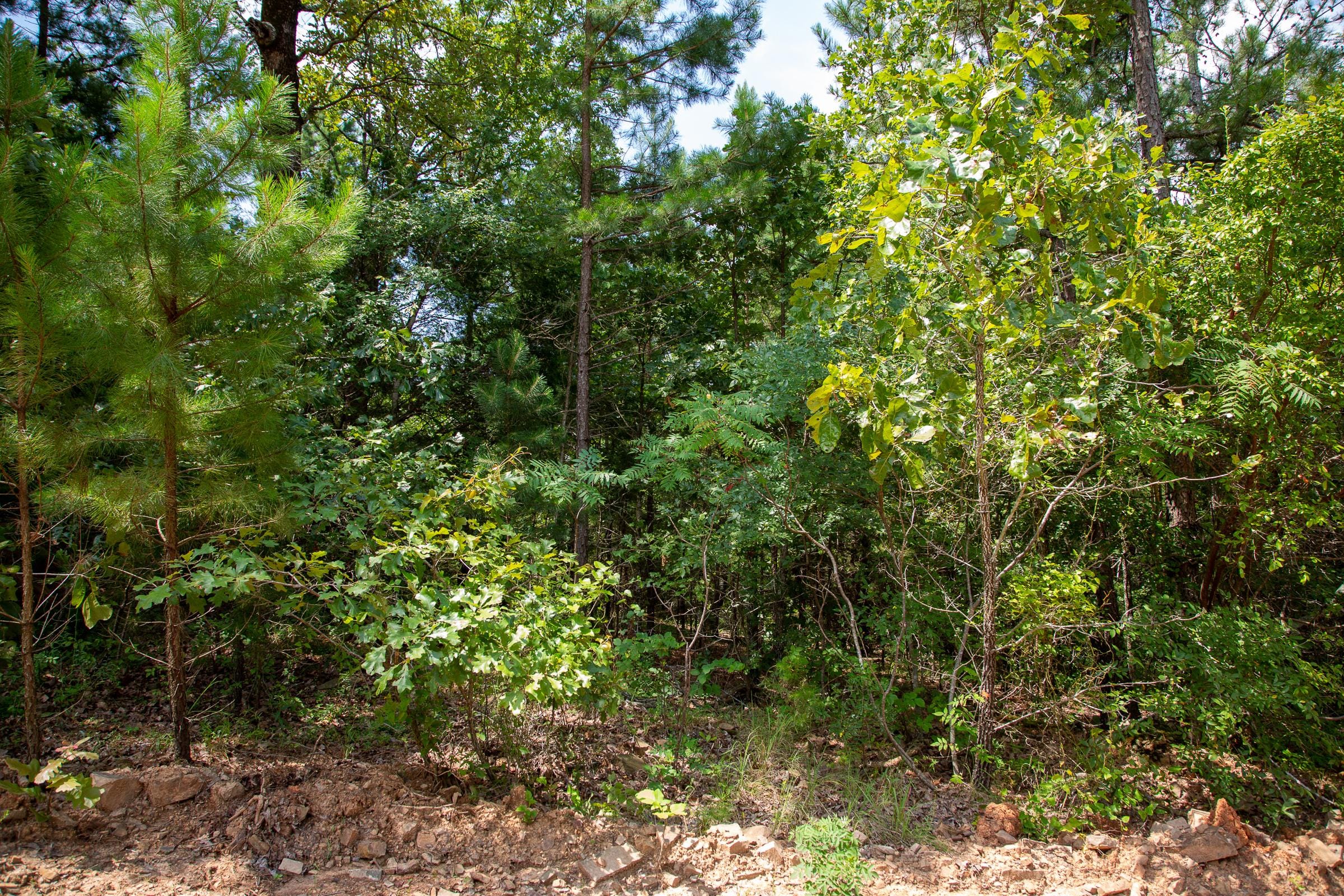 Tyler Stone Ranch Tract 59 photo 5