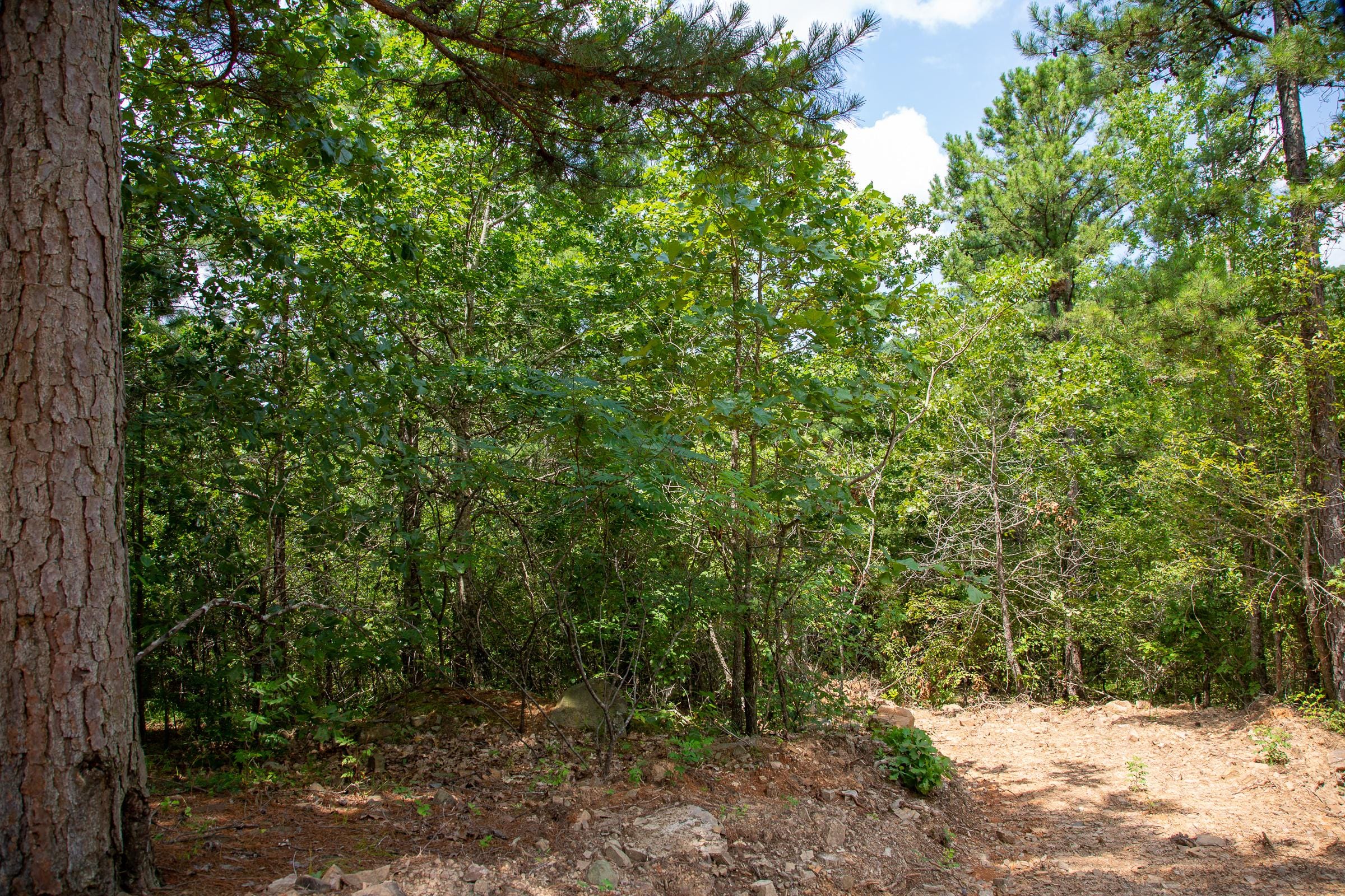 Tyler Stone Ranch Tract 59 photo 7