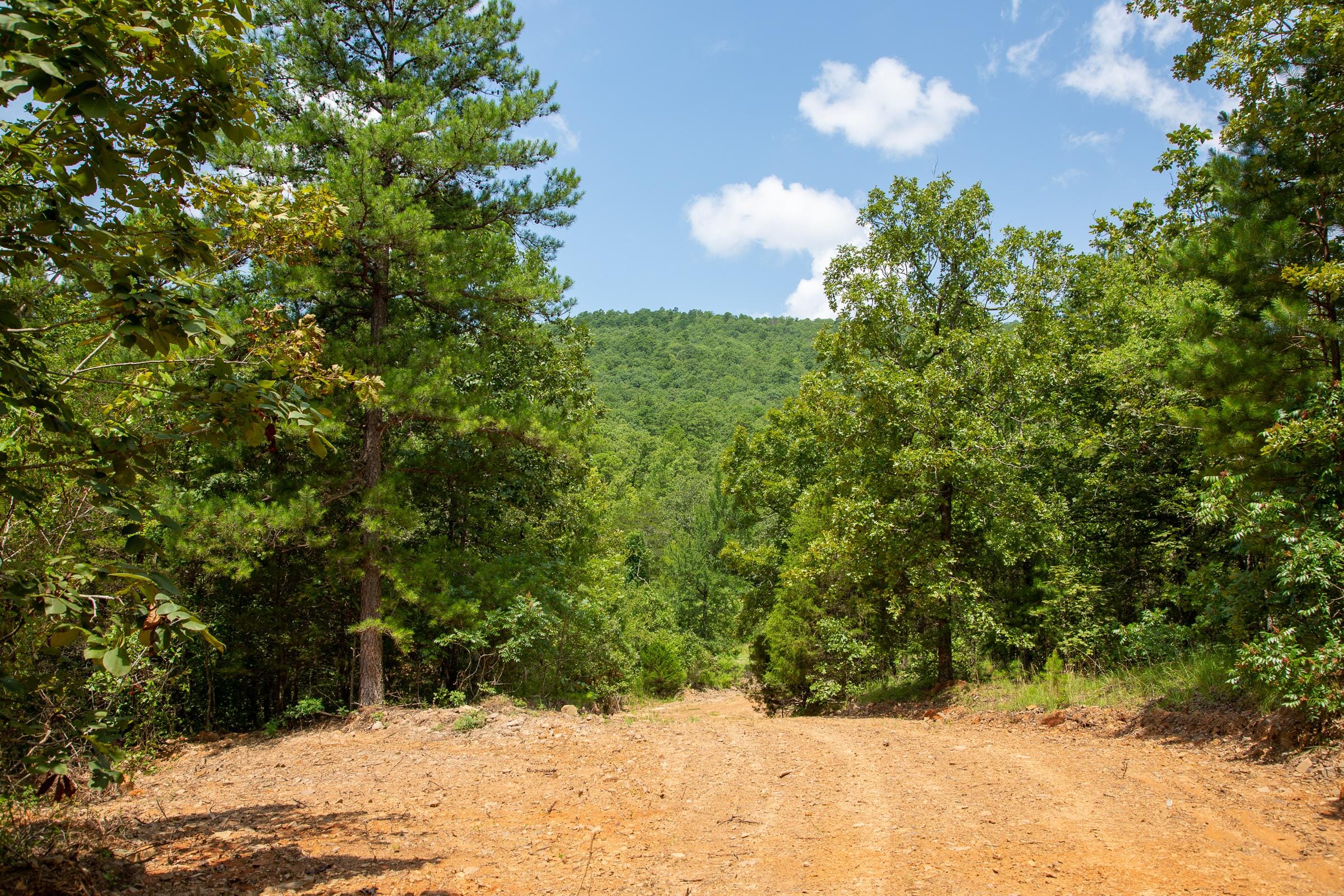 Tyler Stone Ranch Tract 59 photo 2