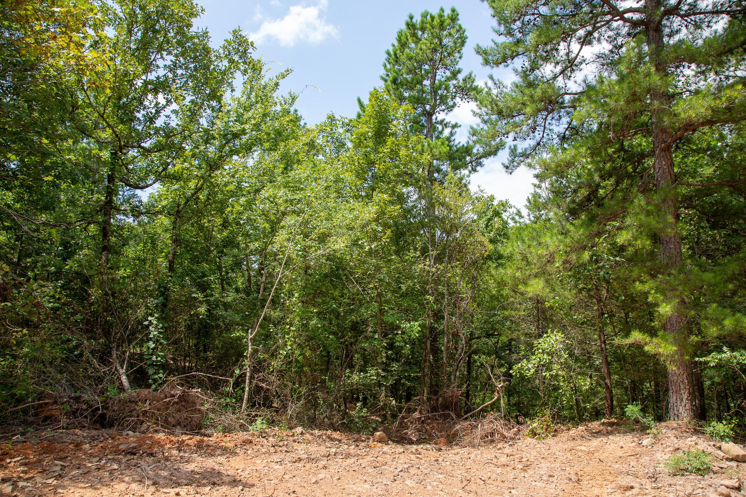 Tyler Stone Ranch Tract 59 photo 8