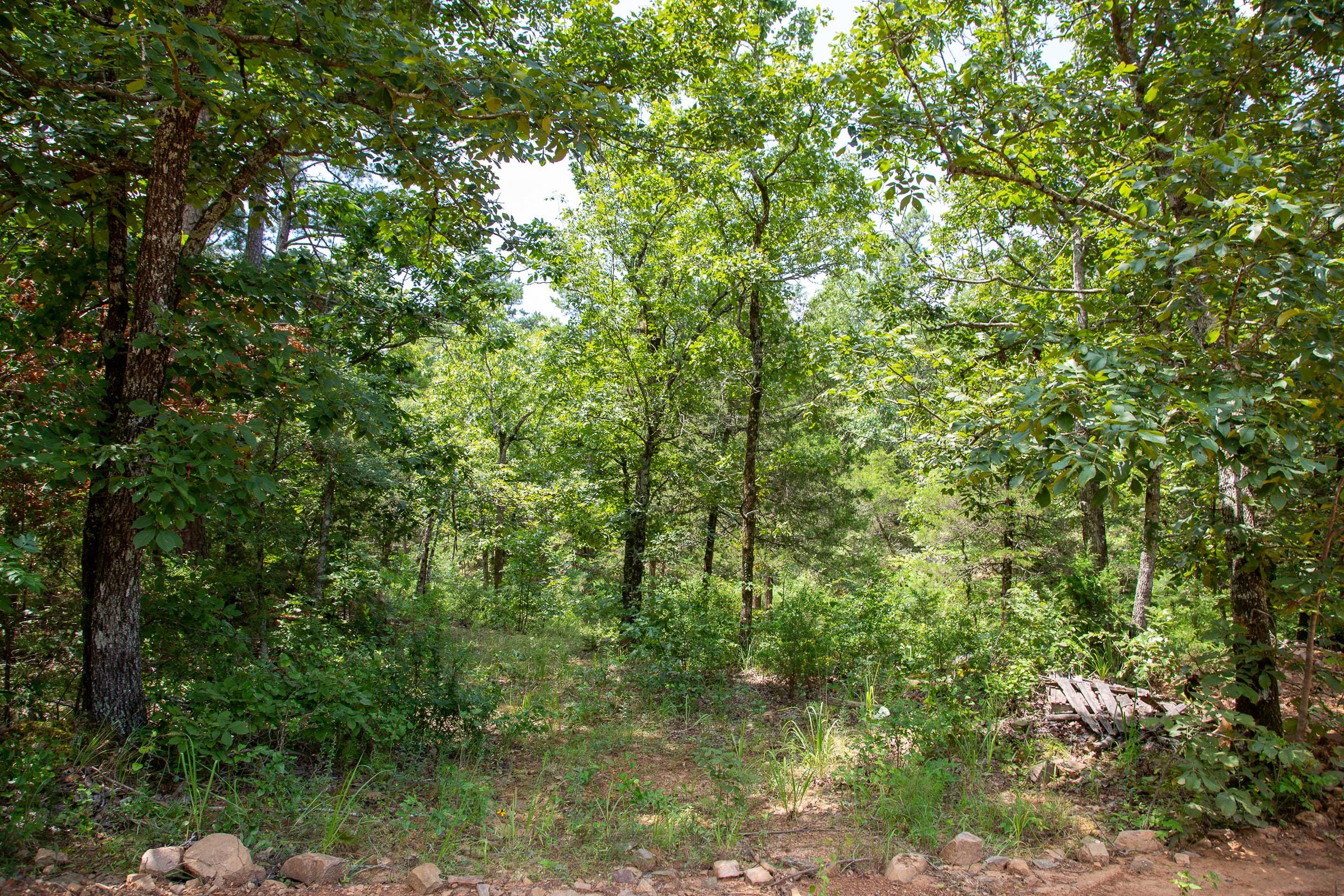 Tyler Stone Ranch Tract 59 photo 10