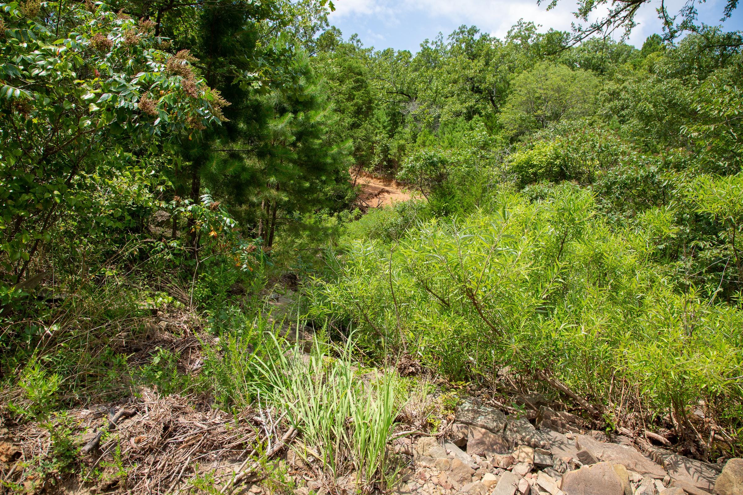 Tyler Stone Ranch Tract 59 photo 11