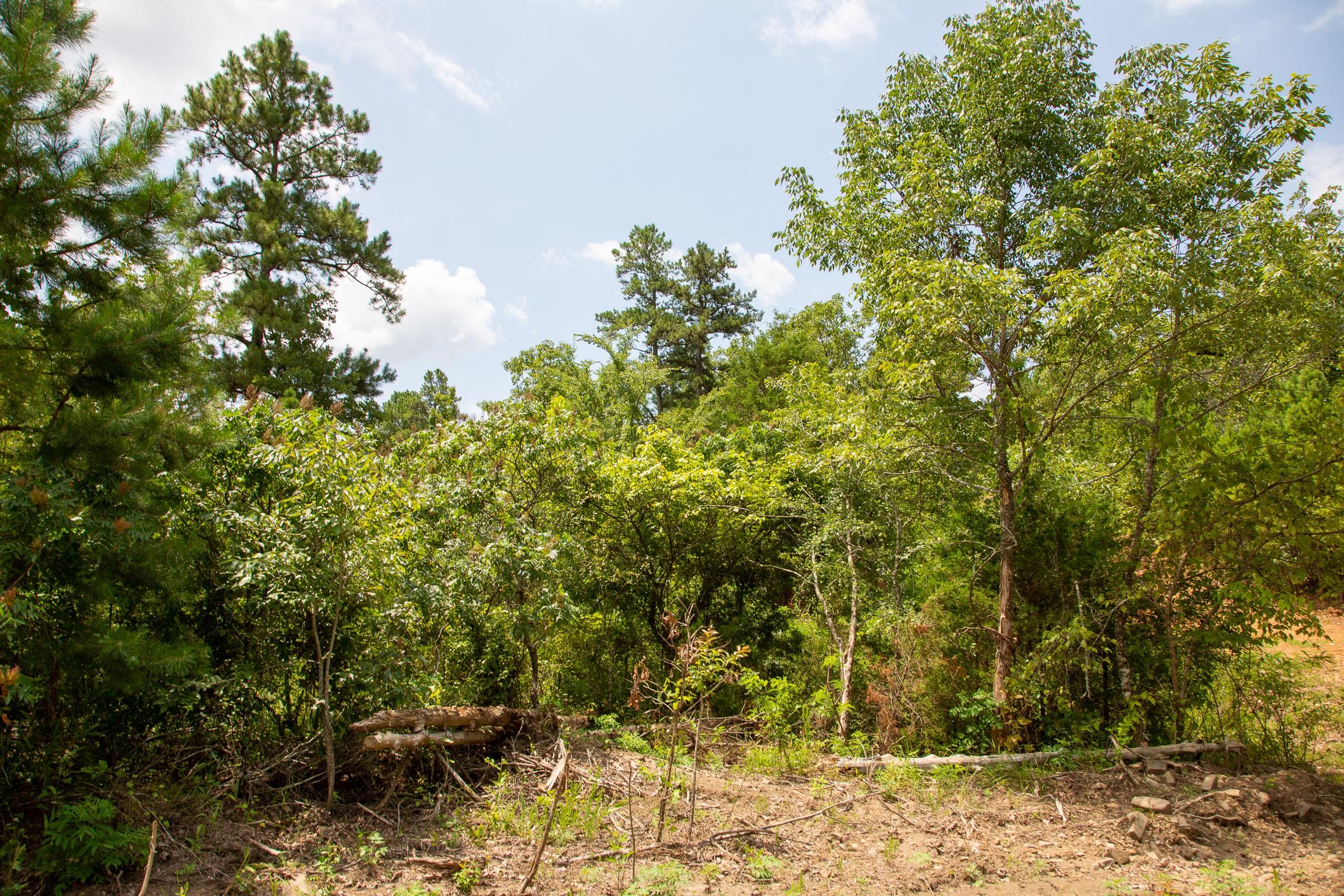 Tyler Stone Ranch Tract 59 photo 12
