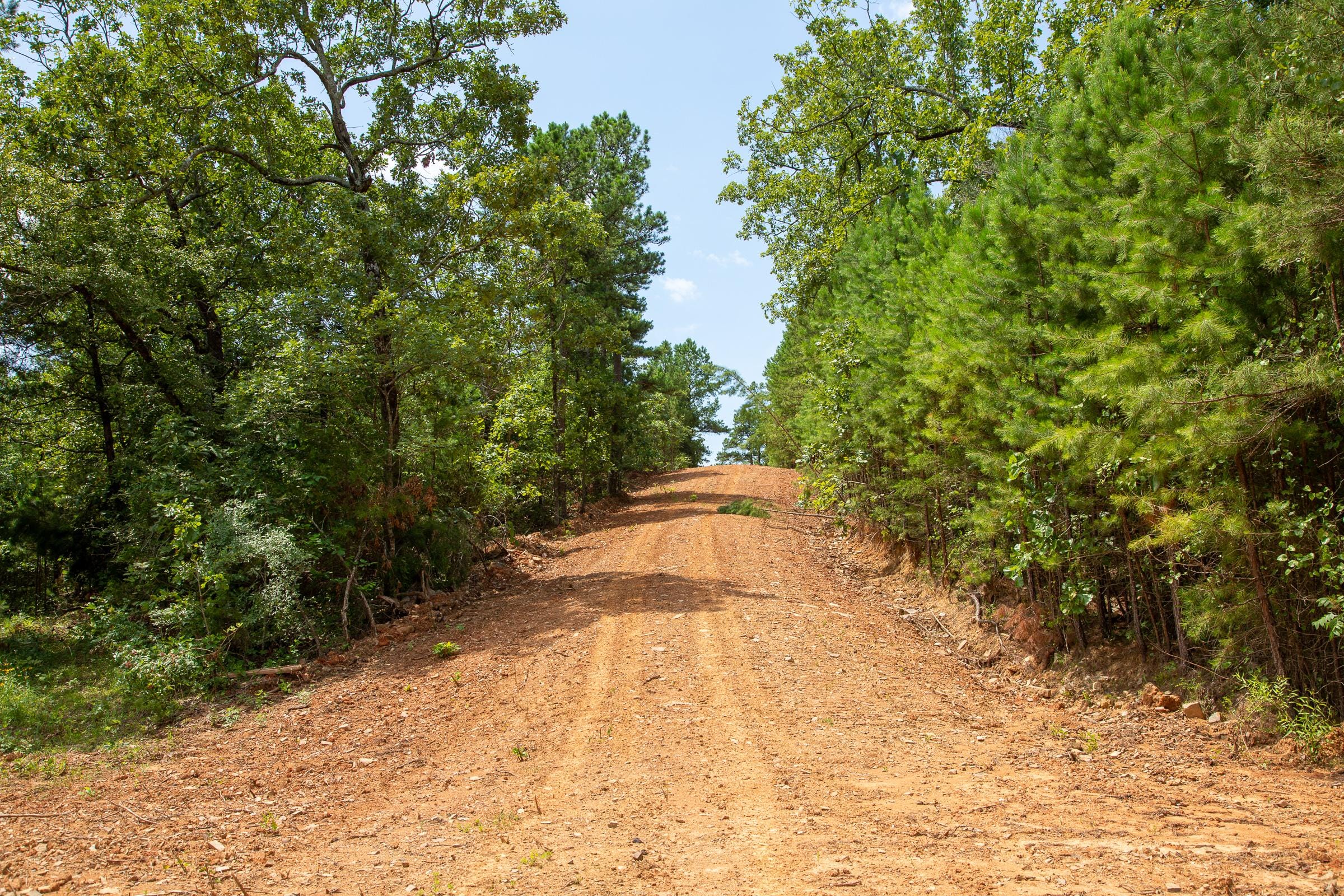 Tyler Stone Ranch Tract 59 photo 13