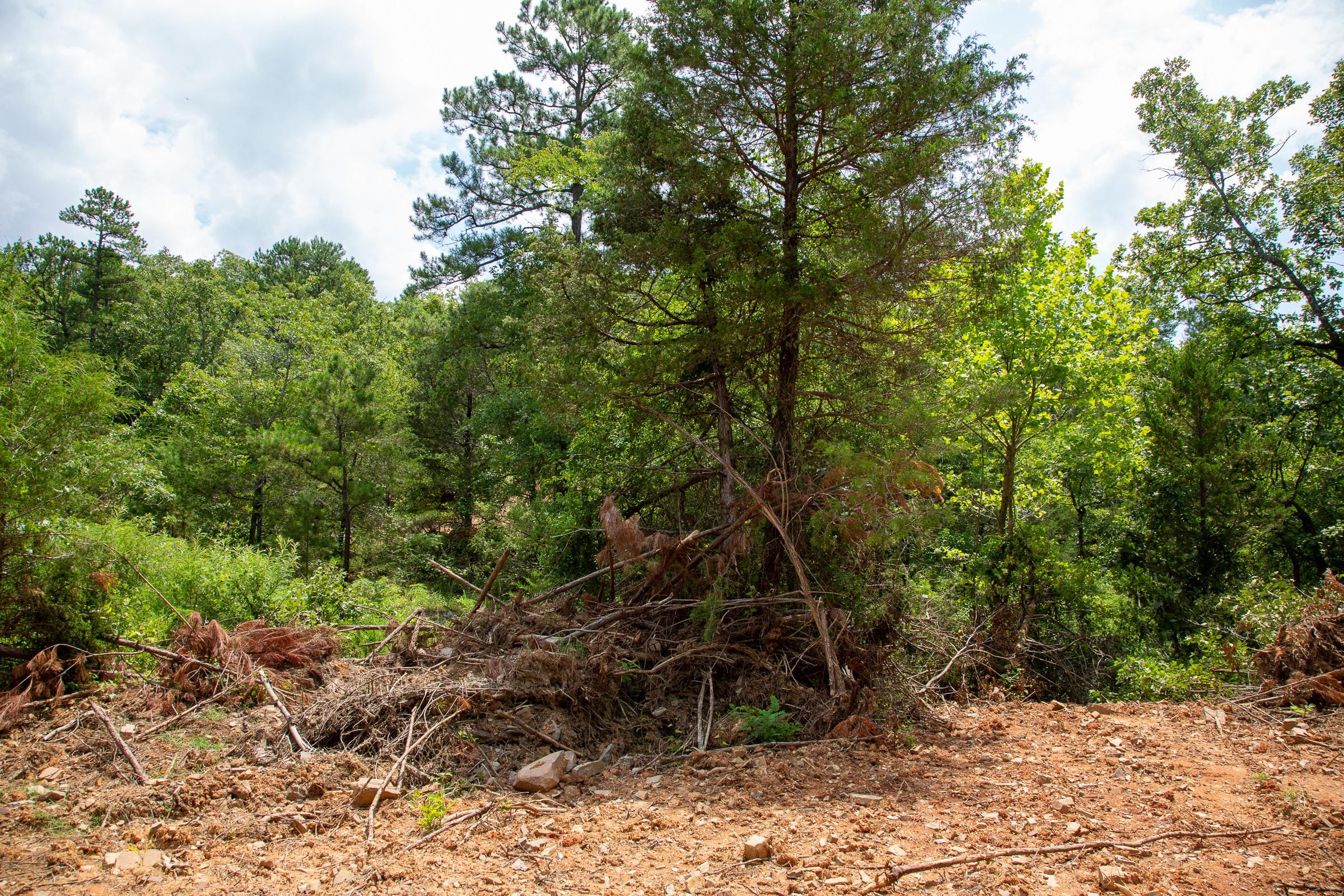 Tyler Stone Ranch Tract 59 photo 14