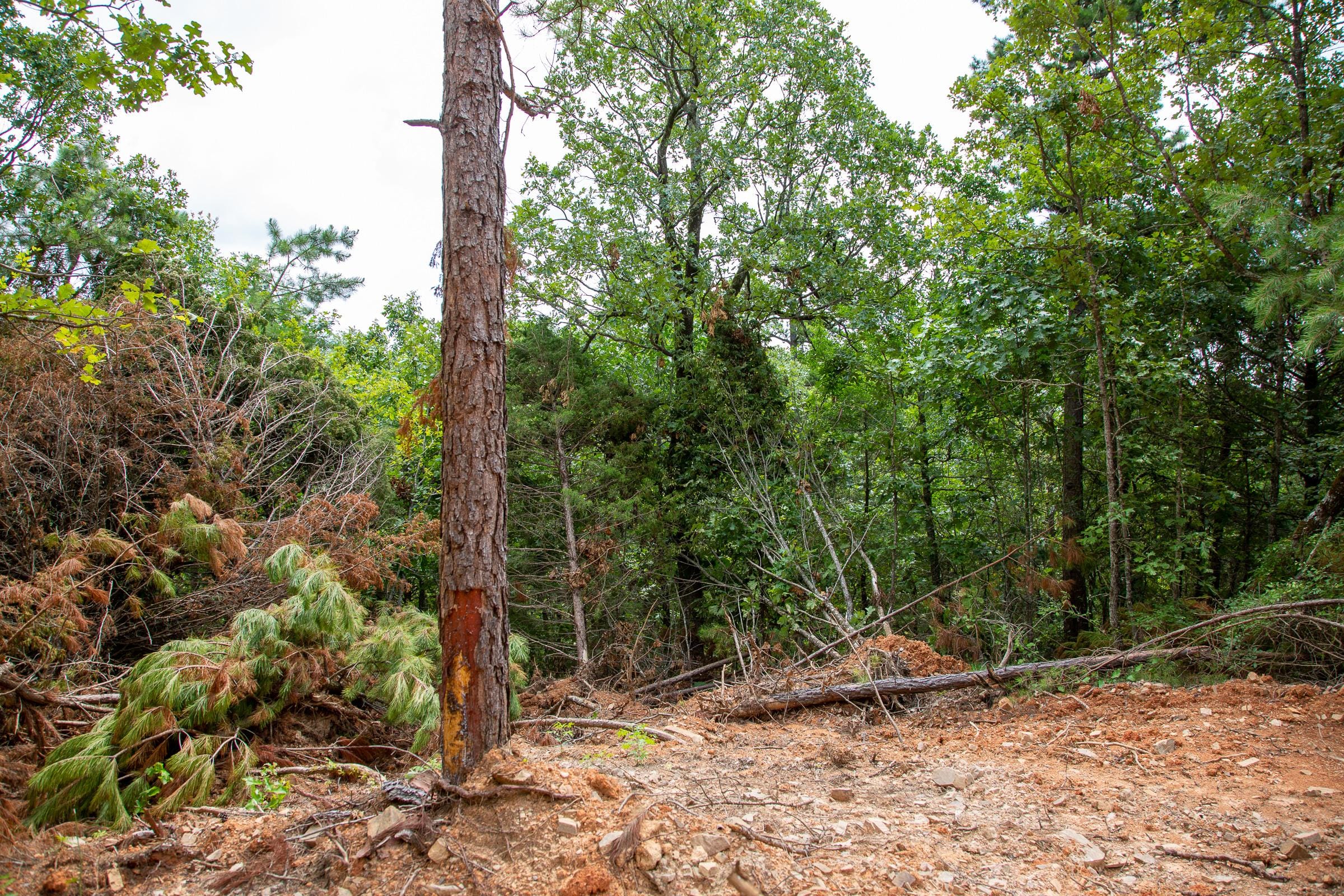 Tyler Stone Ranch Tract 59 photo 15