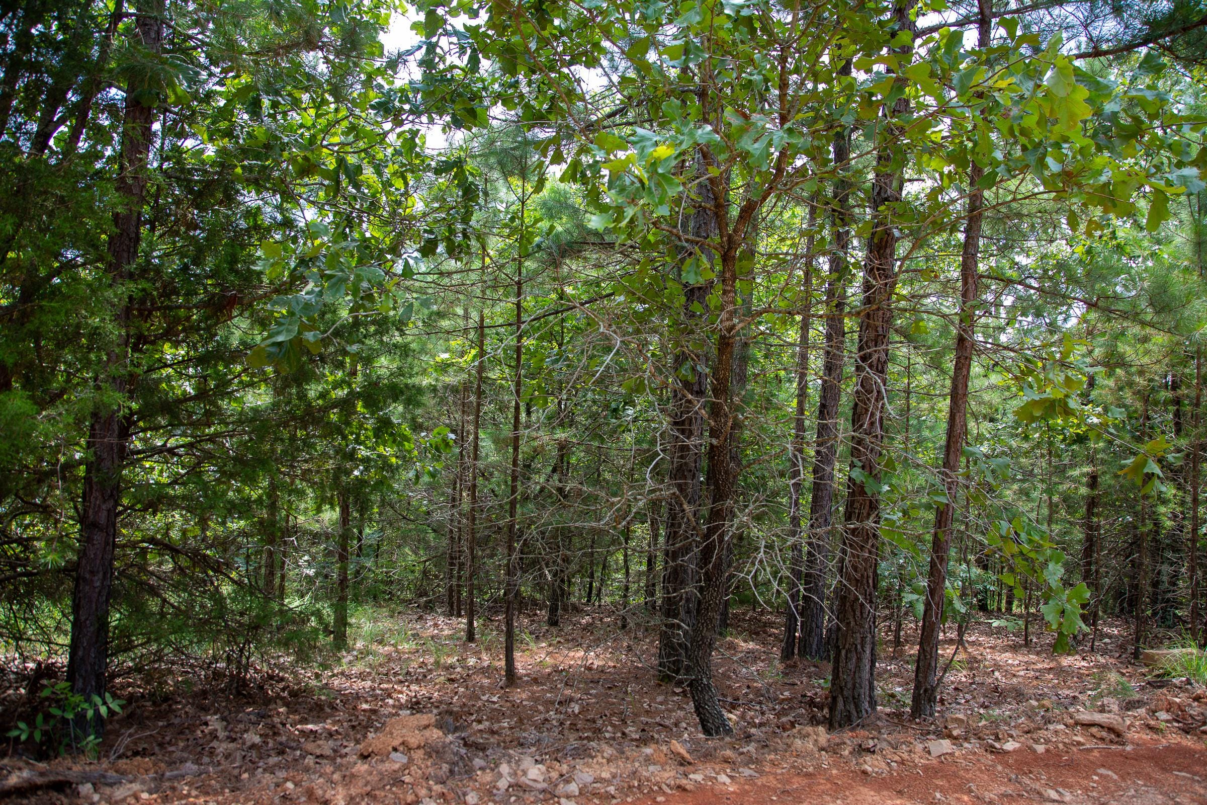 Tyler Stone Ranch Tract 59 photo 1