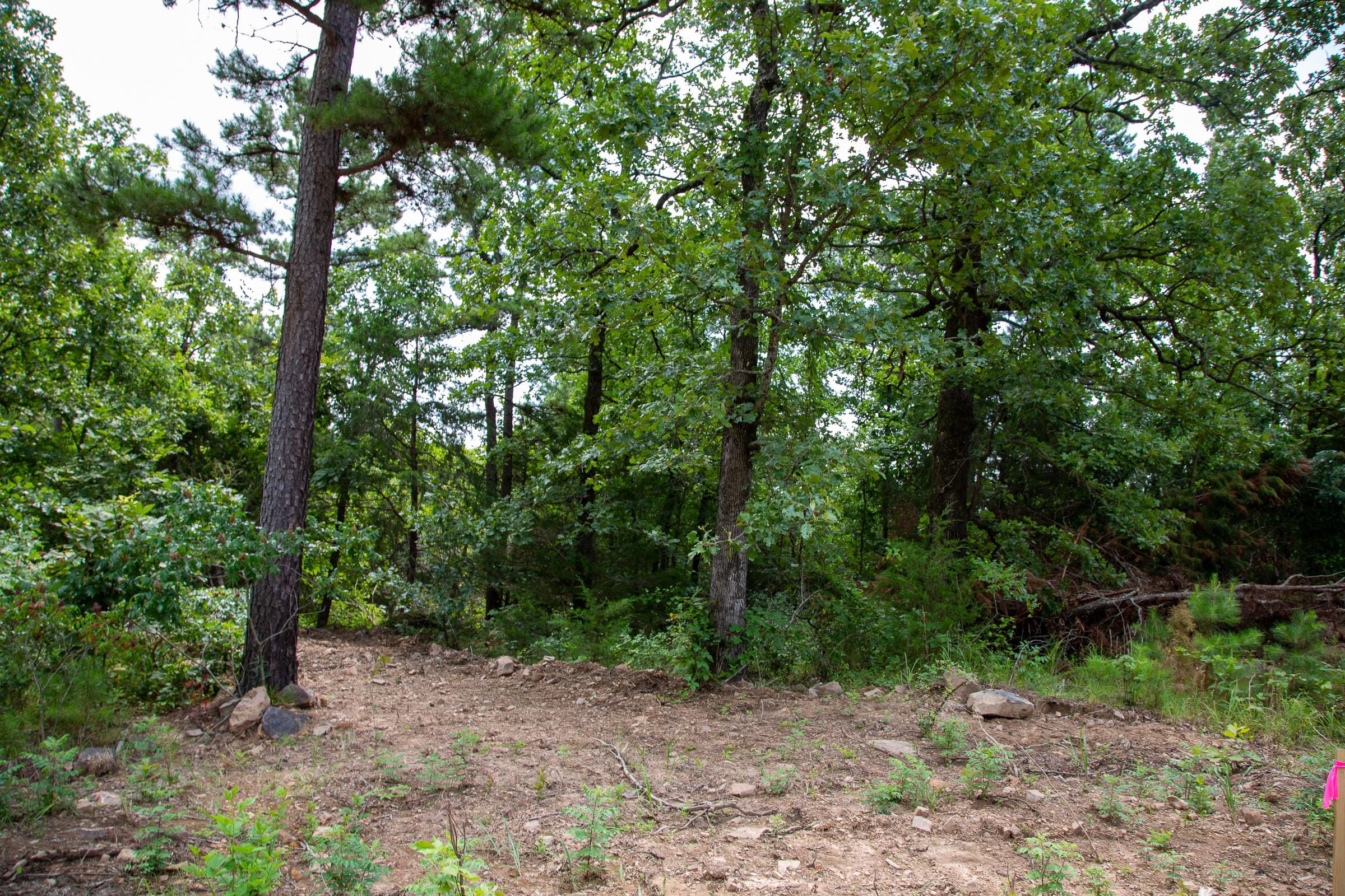 Tyler Stone Ranch Tract 59 photo 16