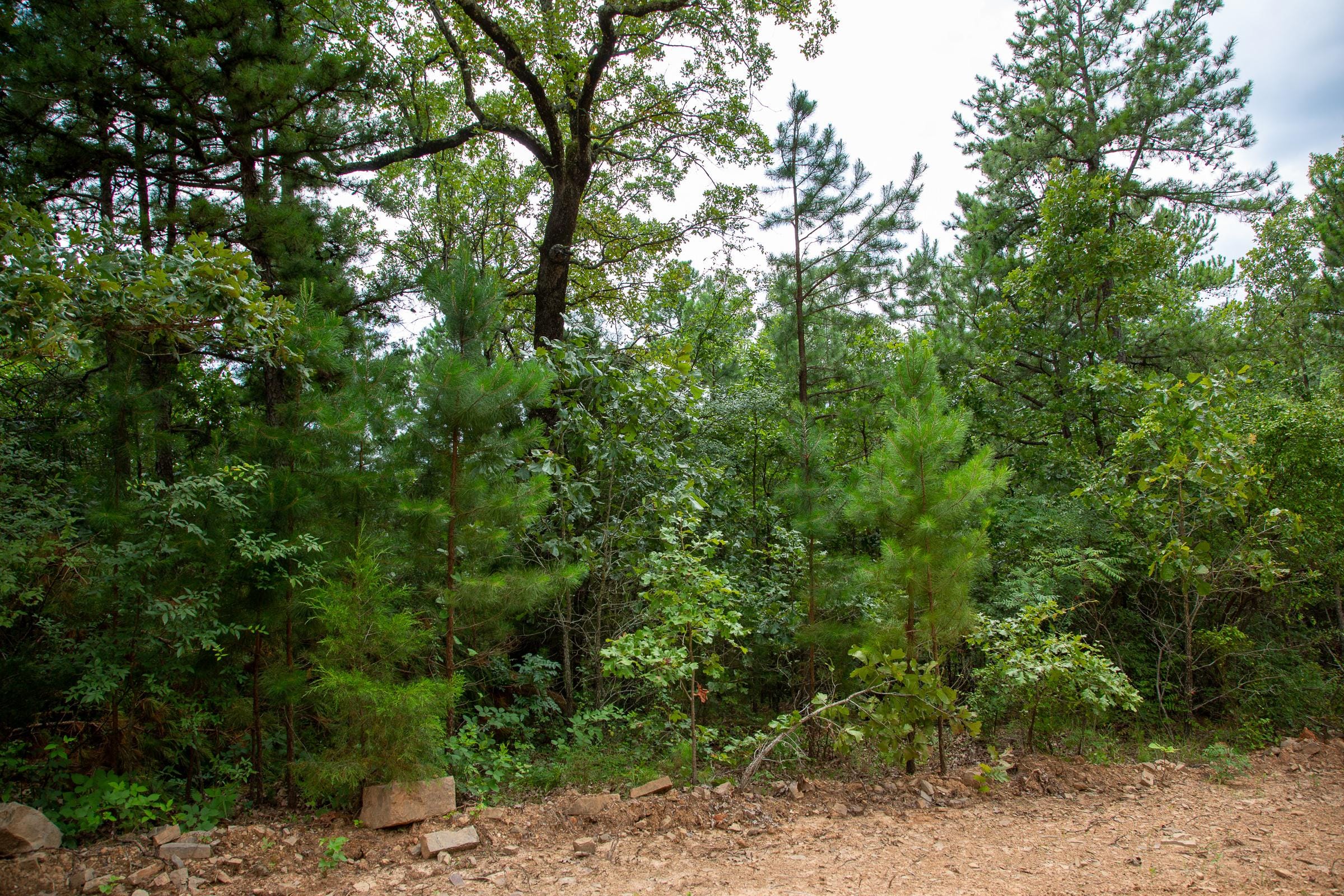Tyler Stone Ranch Tract 59 photo 17