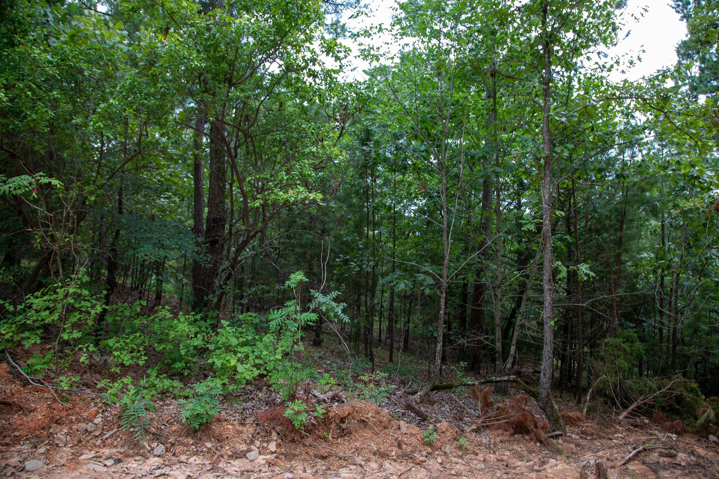 Tyler Stone Ranch Tract 59 photo 19